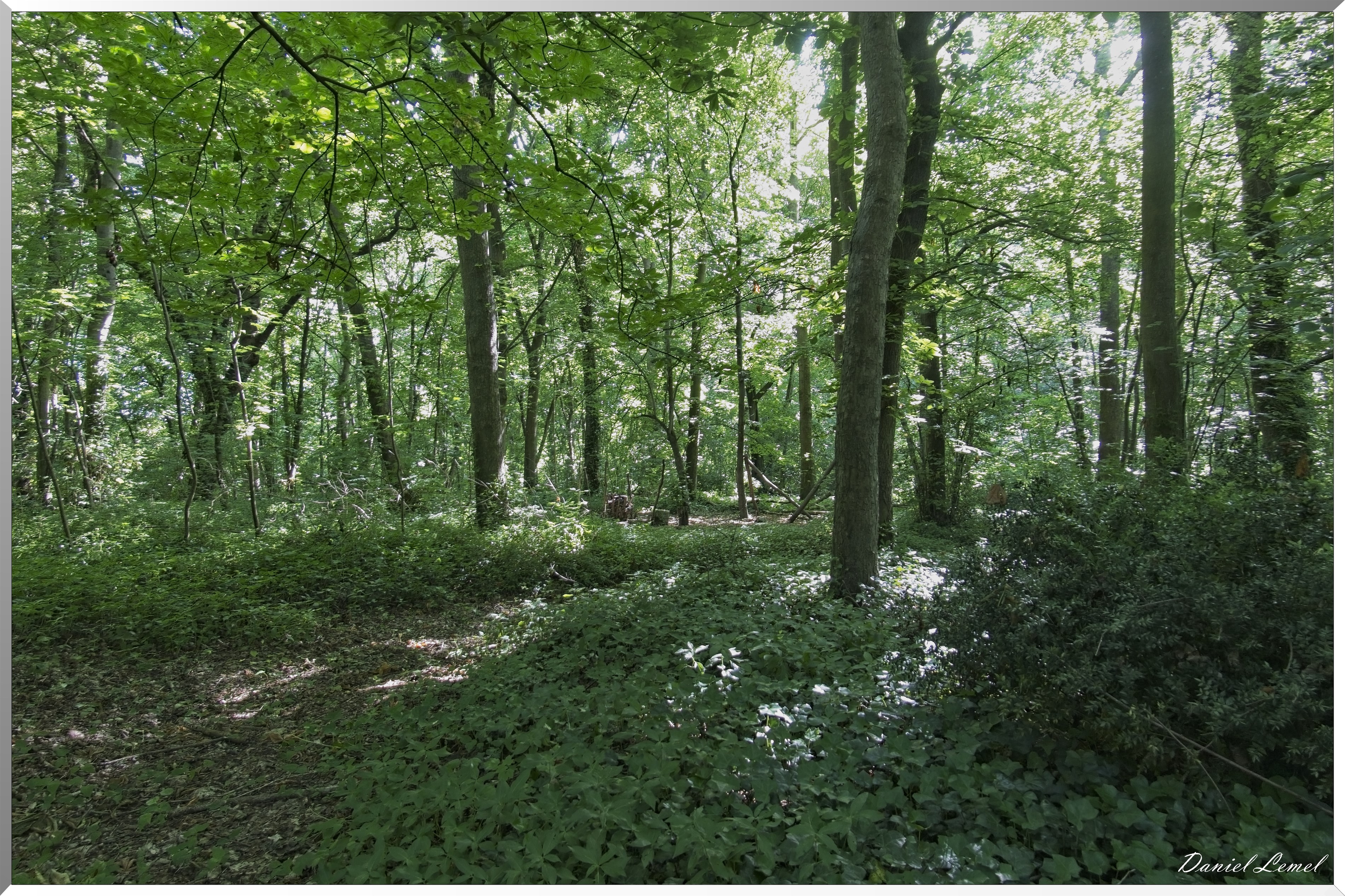 Pressagny-l'Orgueilleux