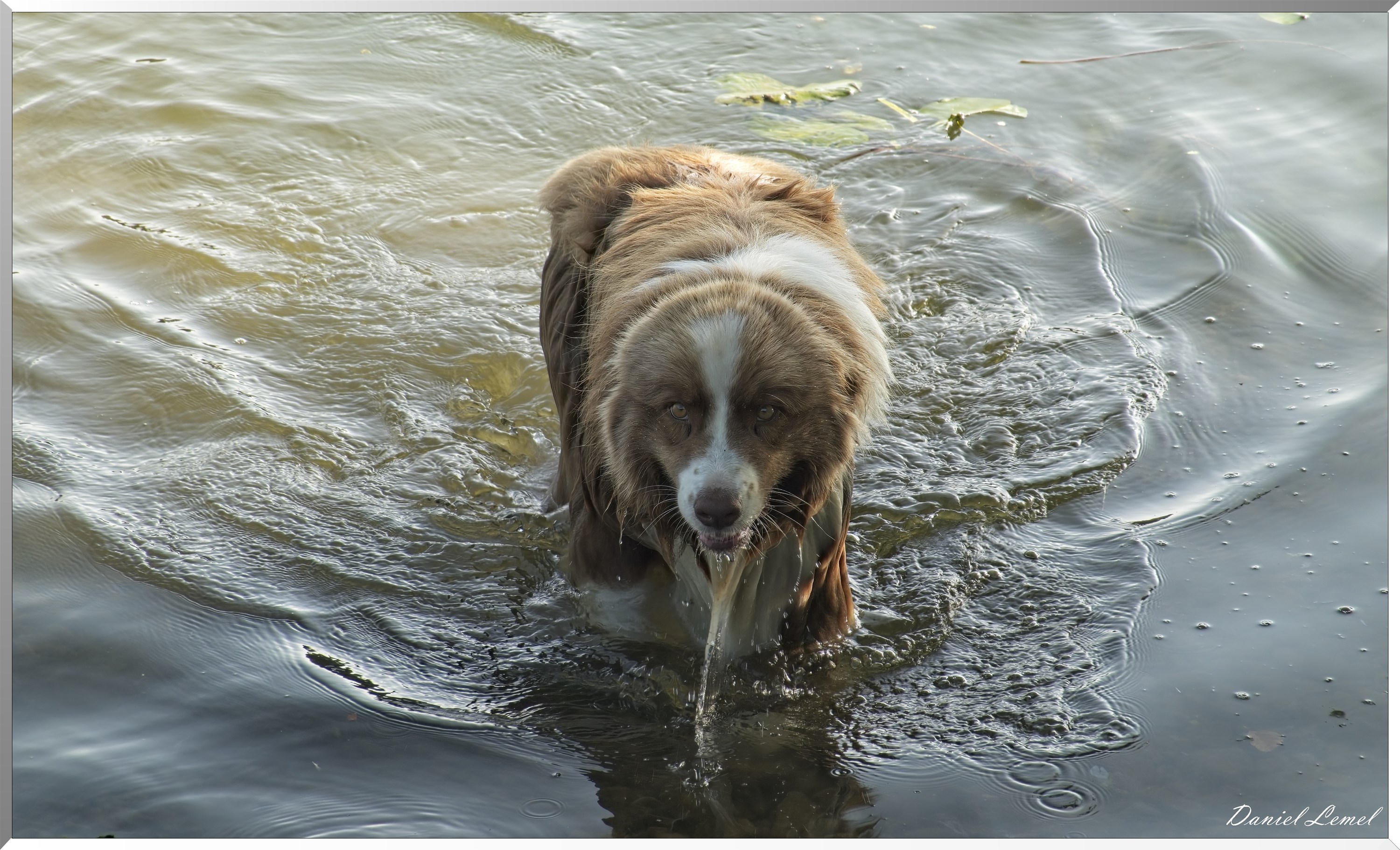 Bord de Seine - Vernon à Gaillon