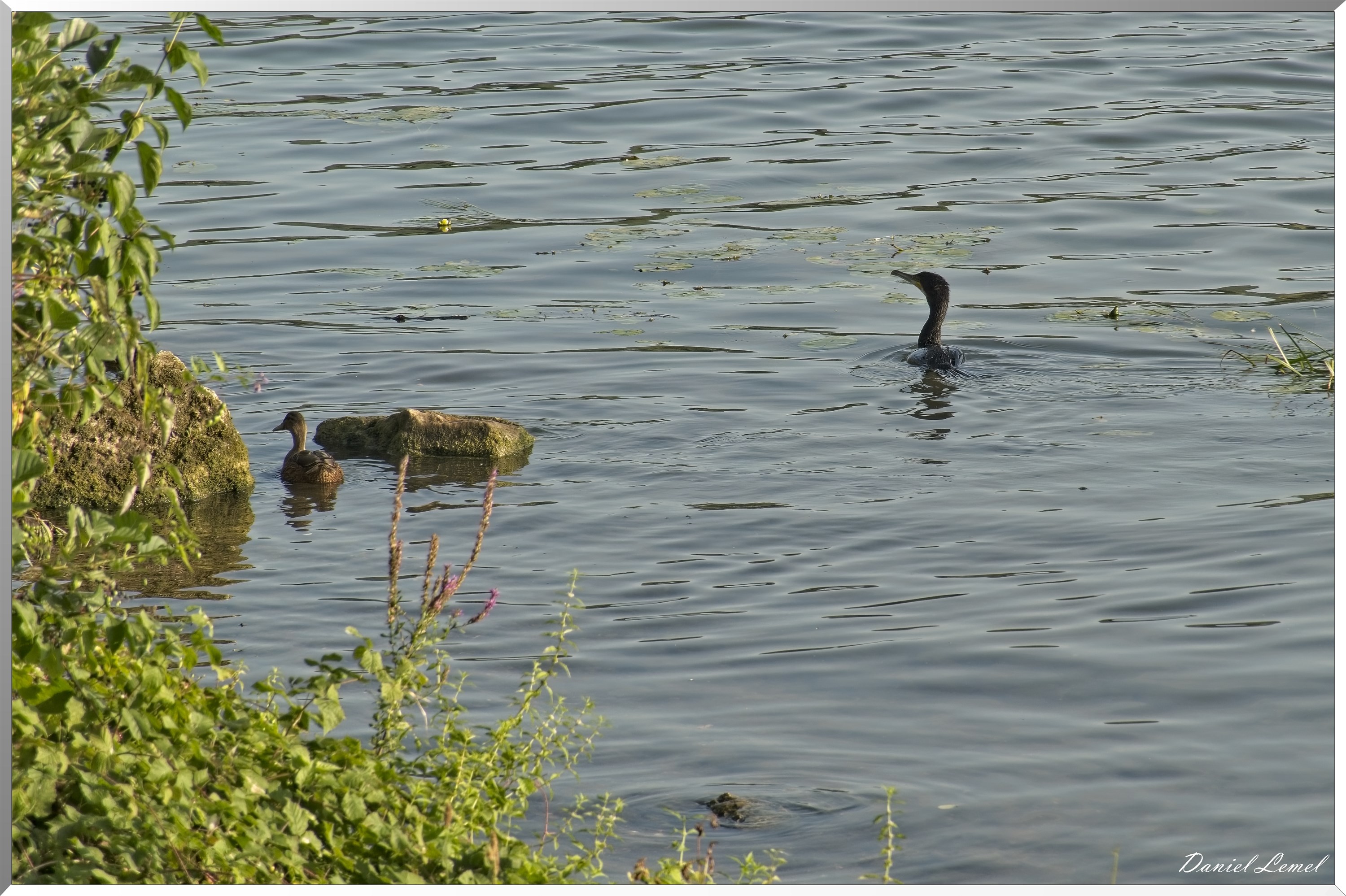Bord de Seine - Vernon à Gaillon