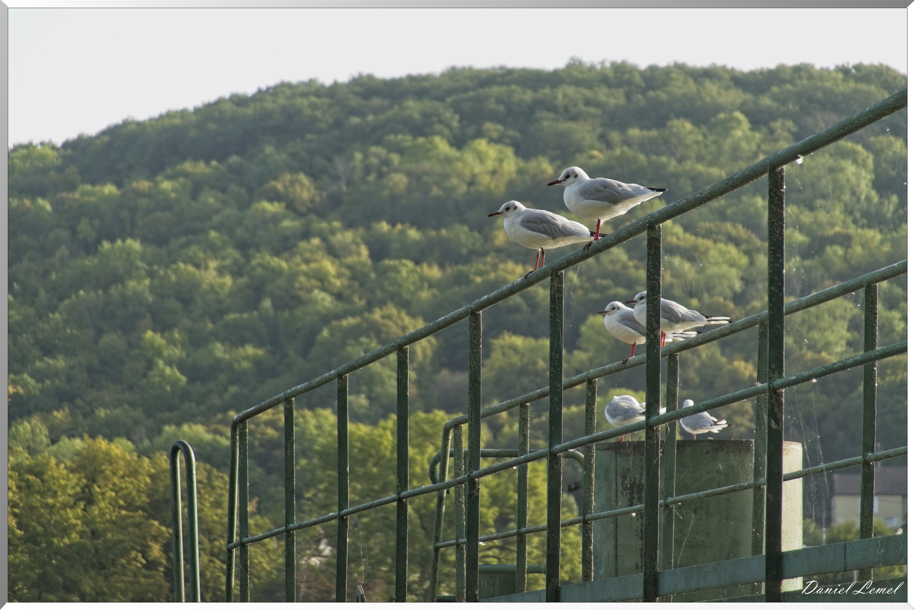 Bord de Seine - Vernon à Gaillon