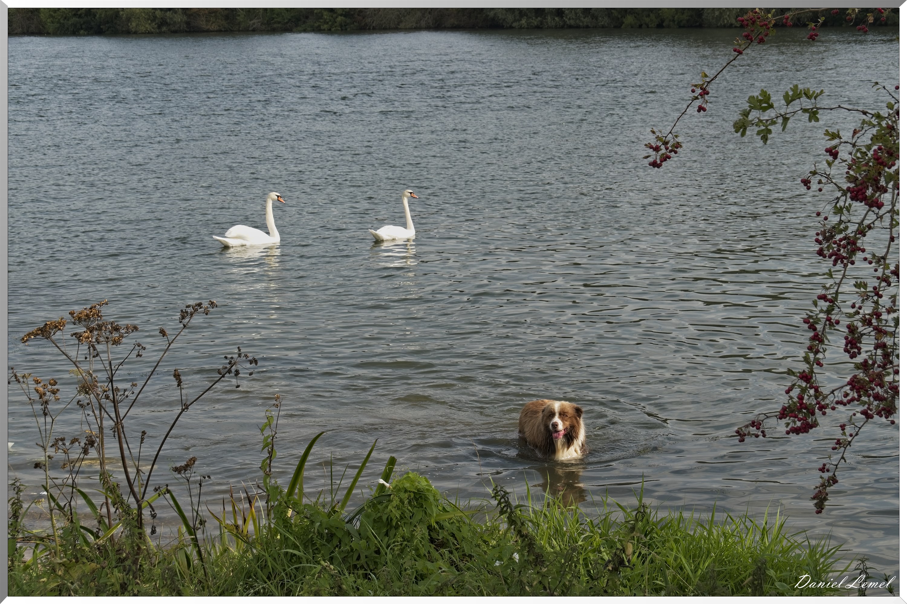 Bord de Seine - Vernon à Gaillon