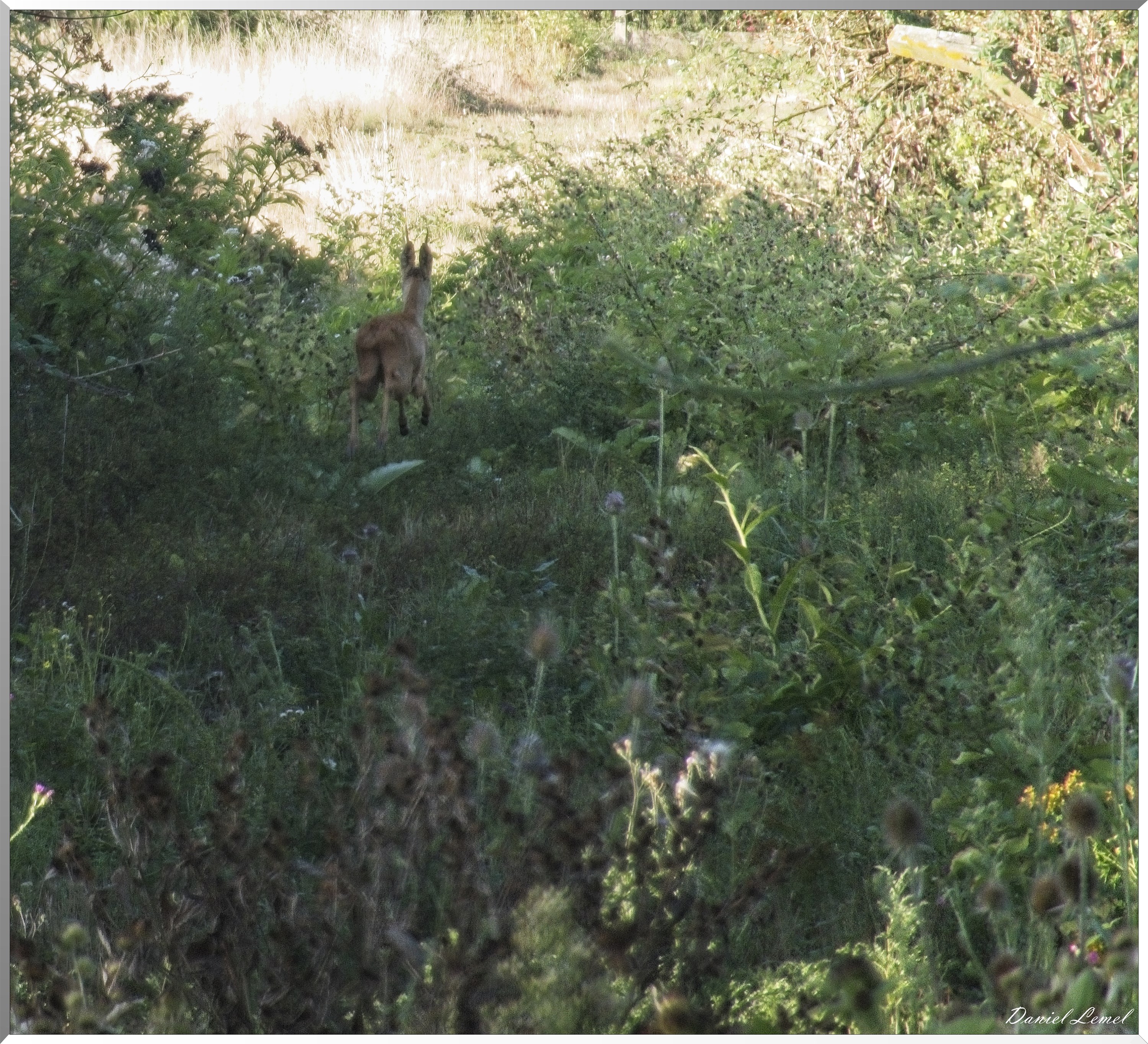 Bord de Seine - Vernon à Gaillon