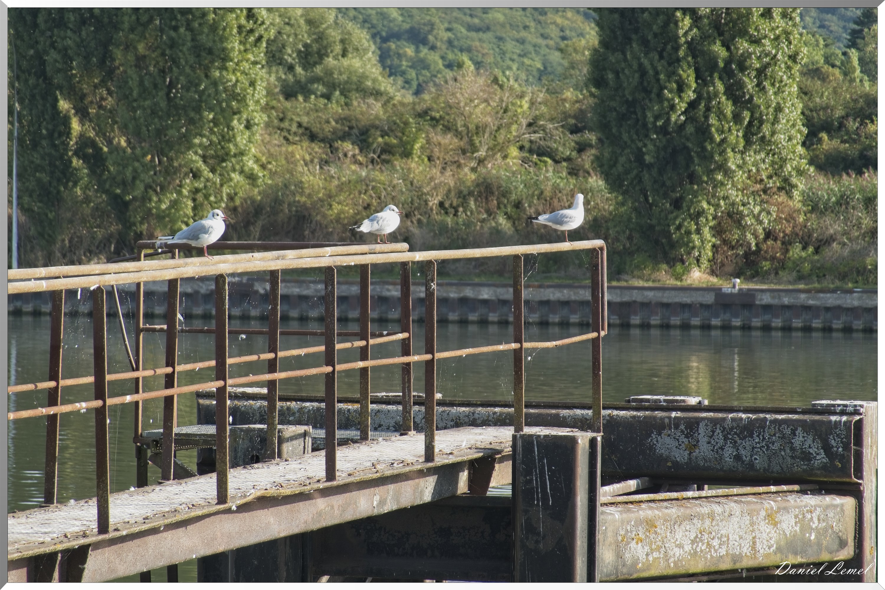 Bord de Seine - Vernon à Gaillon