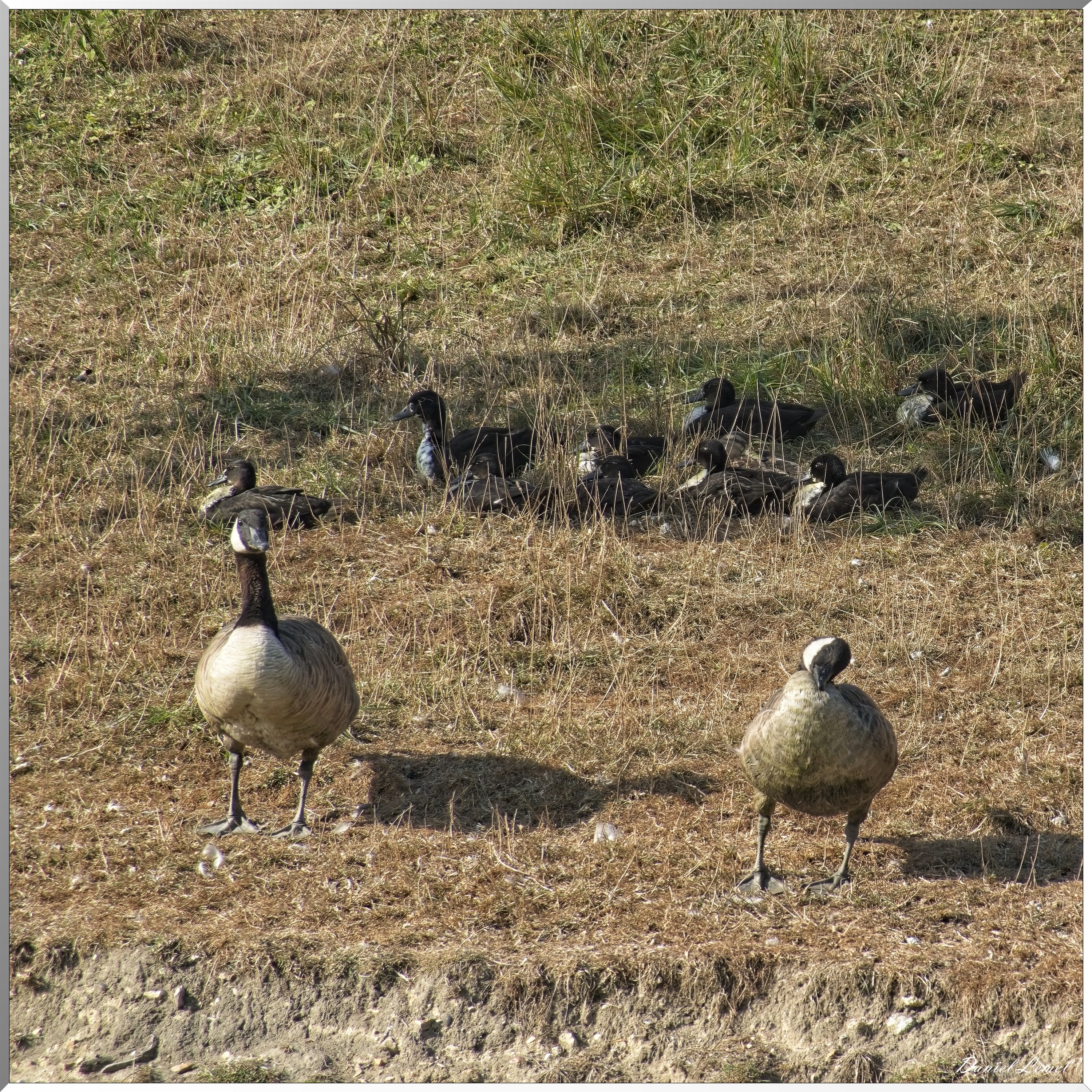Bord de Seine - Vernon à Gaillon