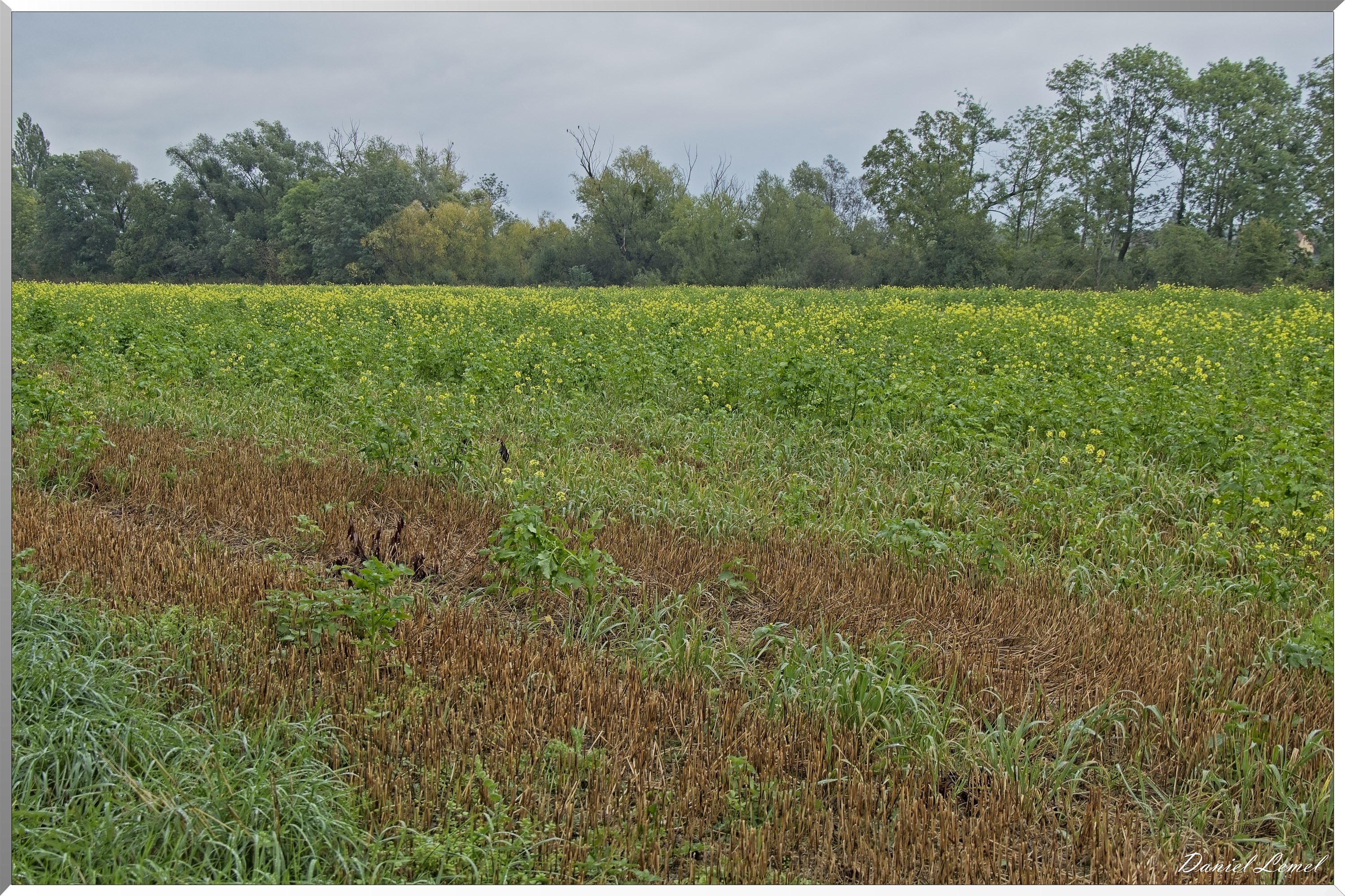 Bonnières-sur-Seine