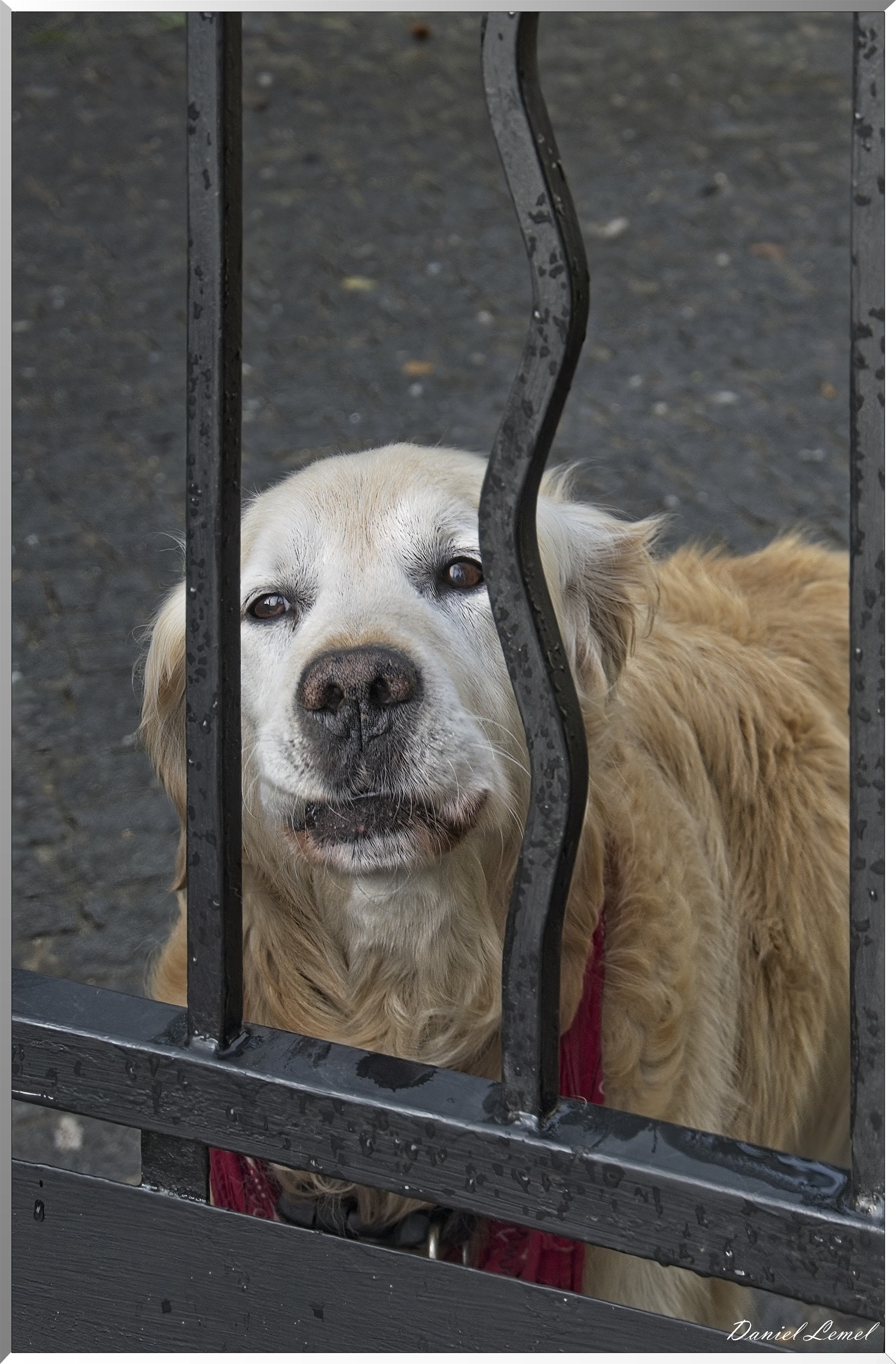 Bonnières-sur-Seine
