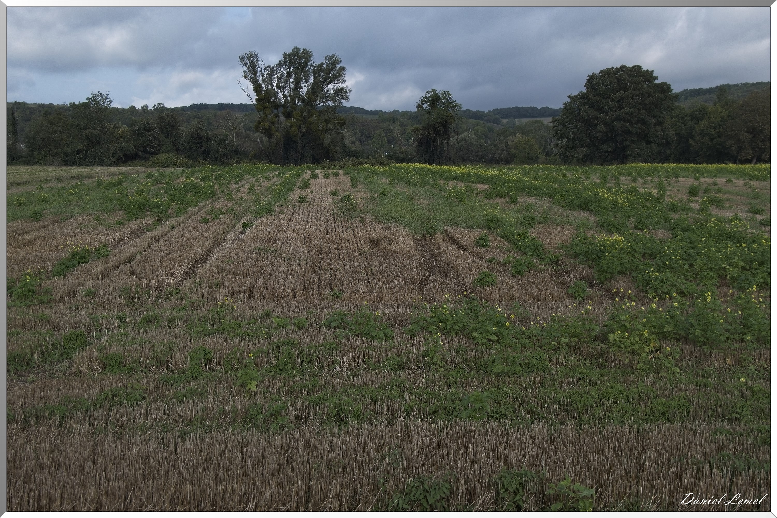 Bonnières-sur-Seine