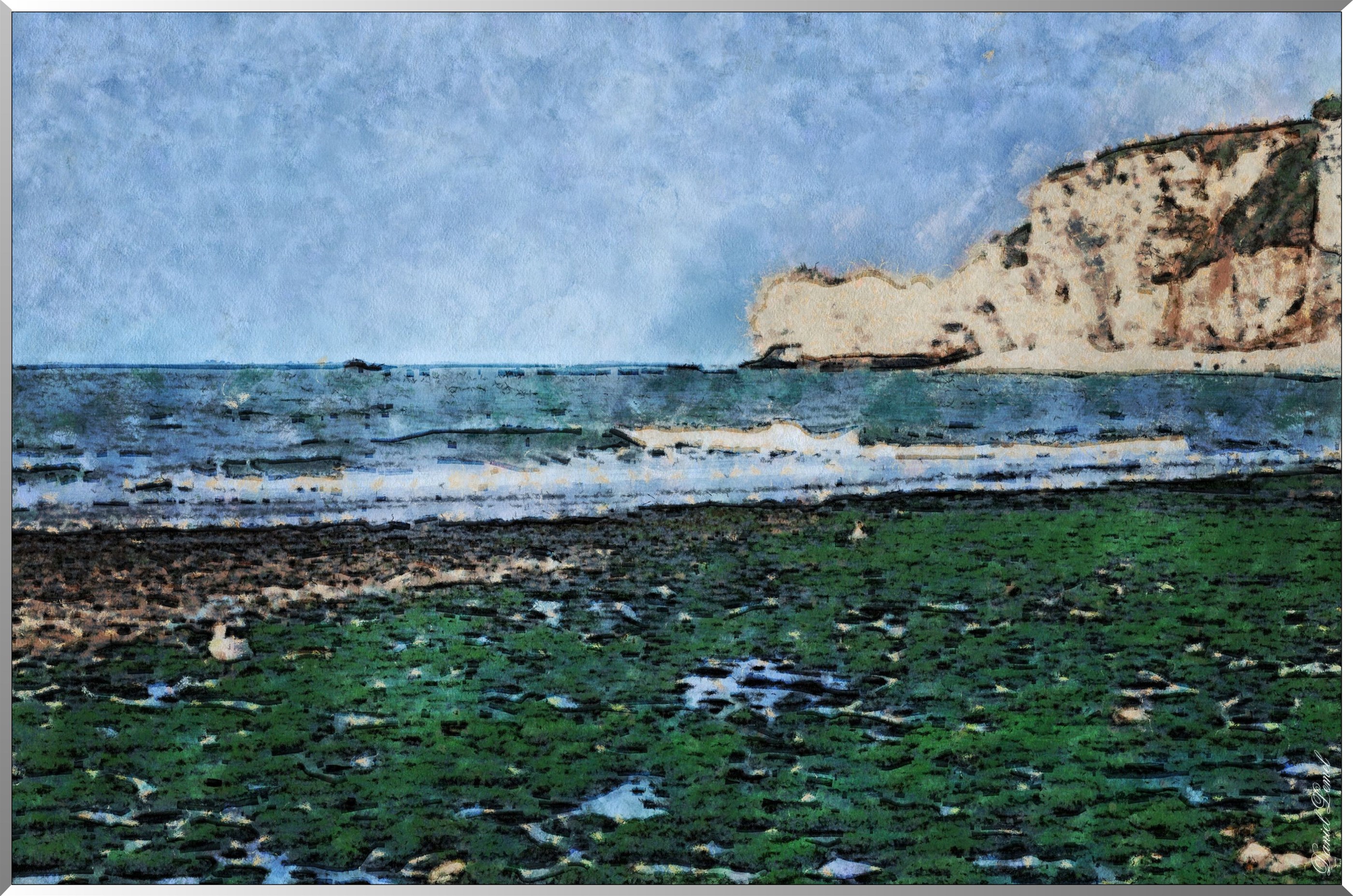 Falaise d'Amont - Etretat