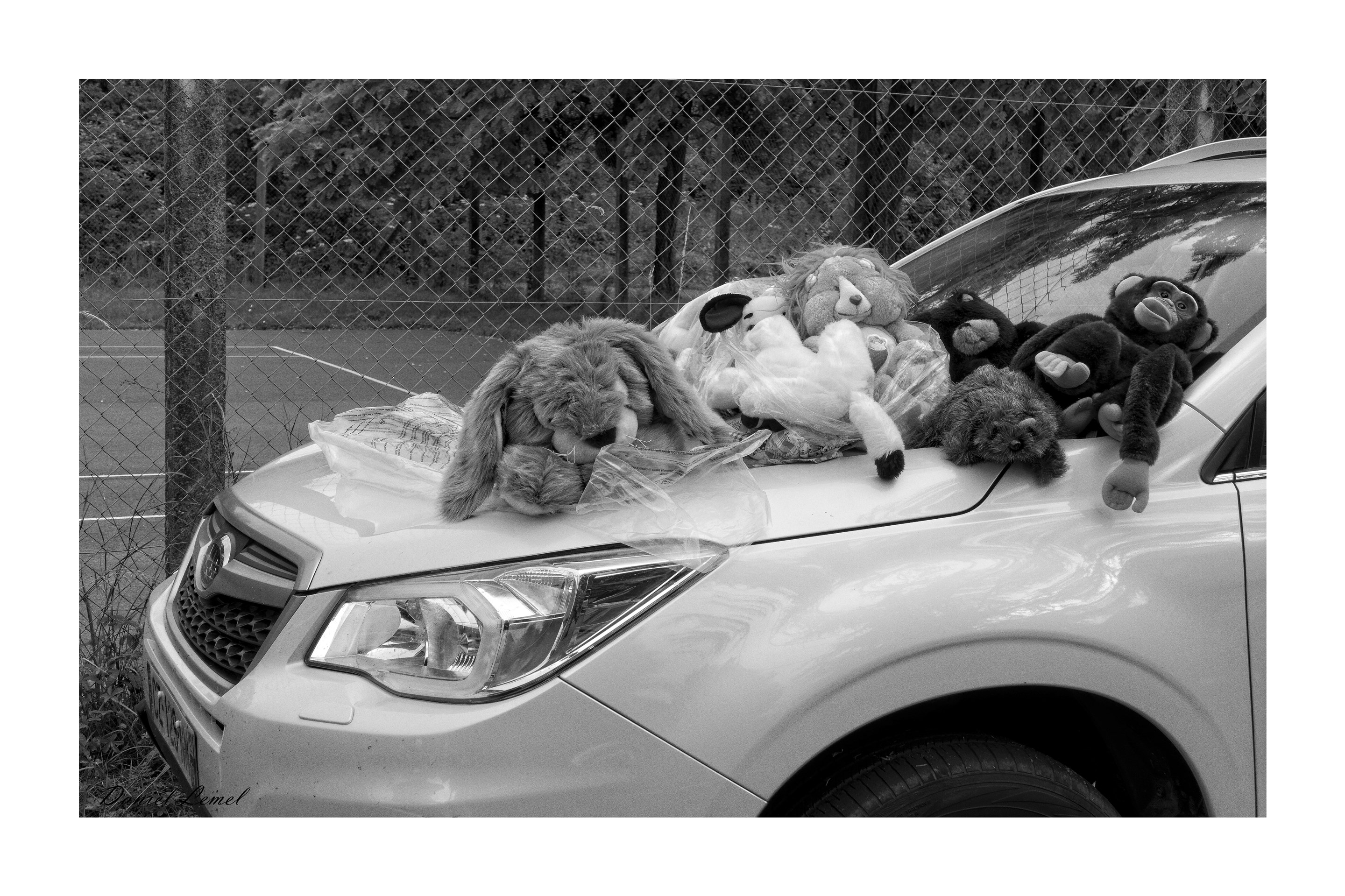 Journée de déballage