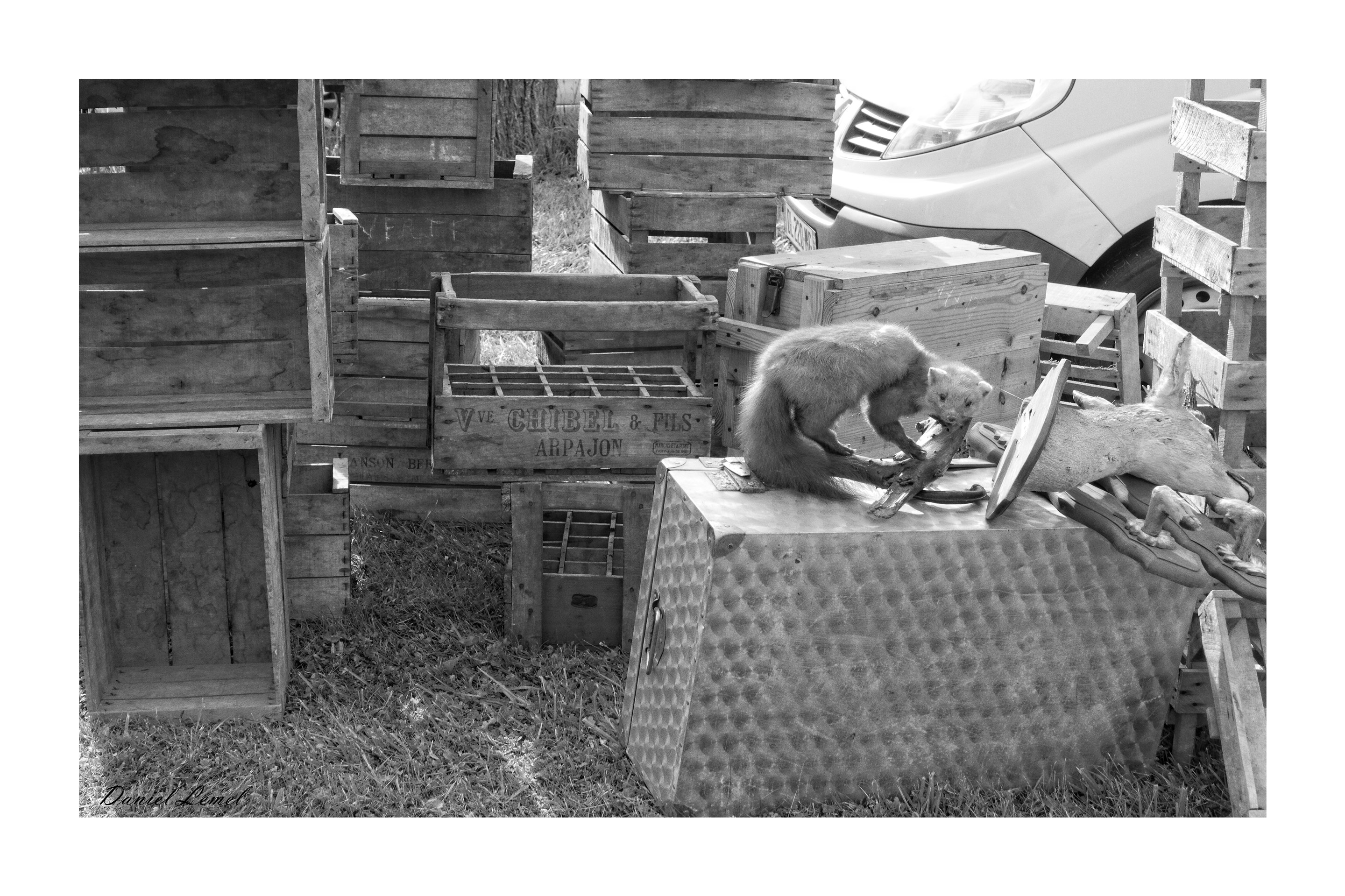 Journée de déballage