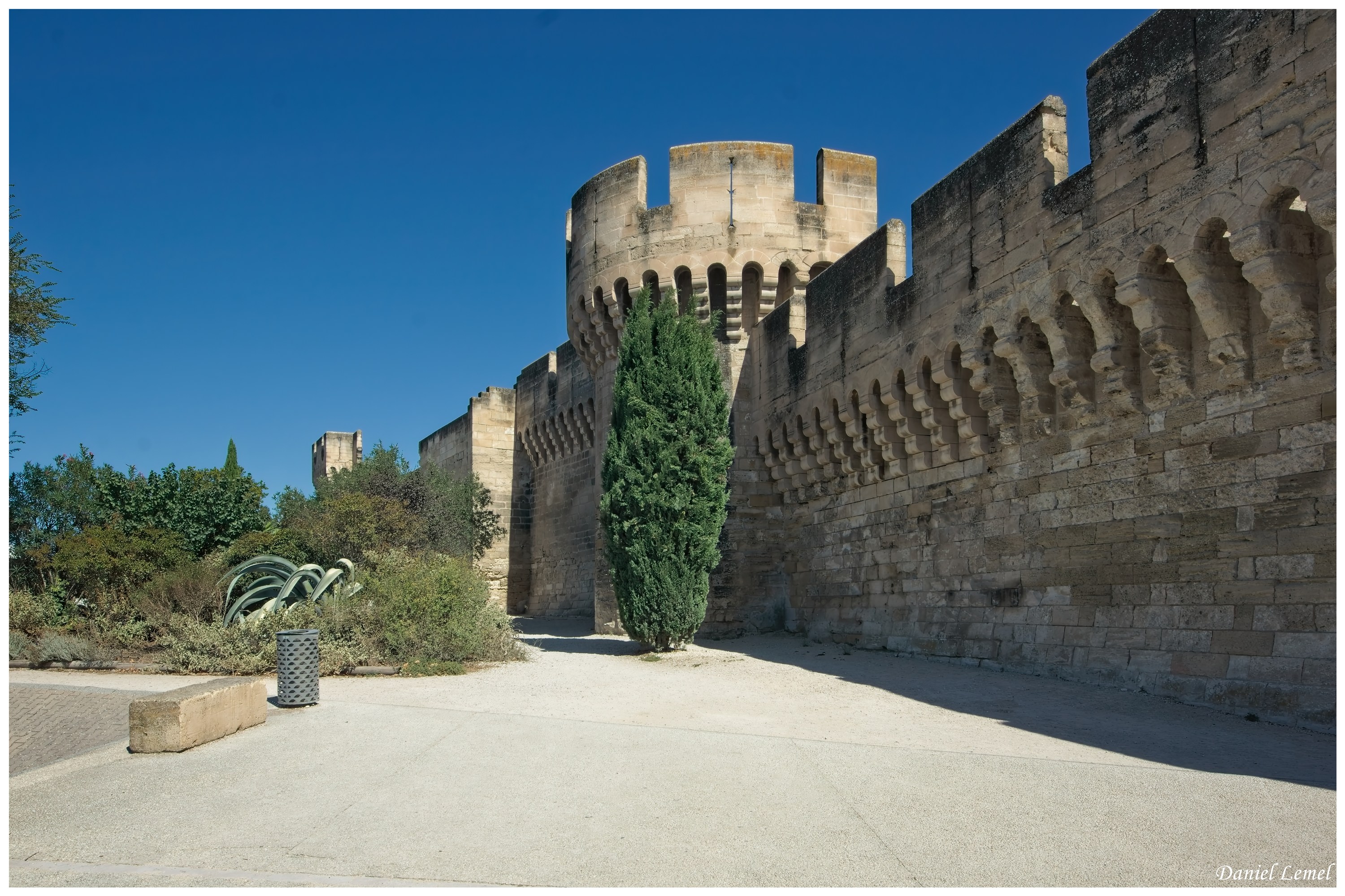 Avignon