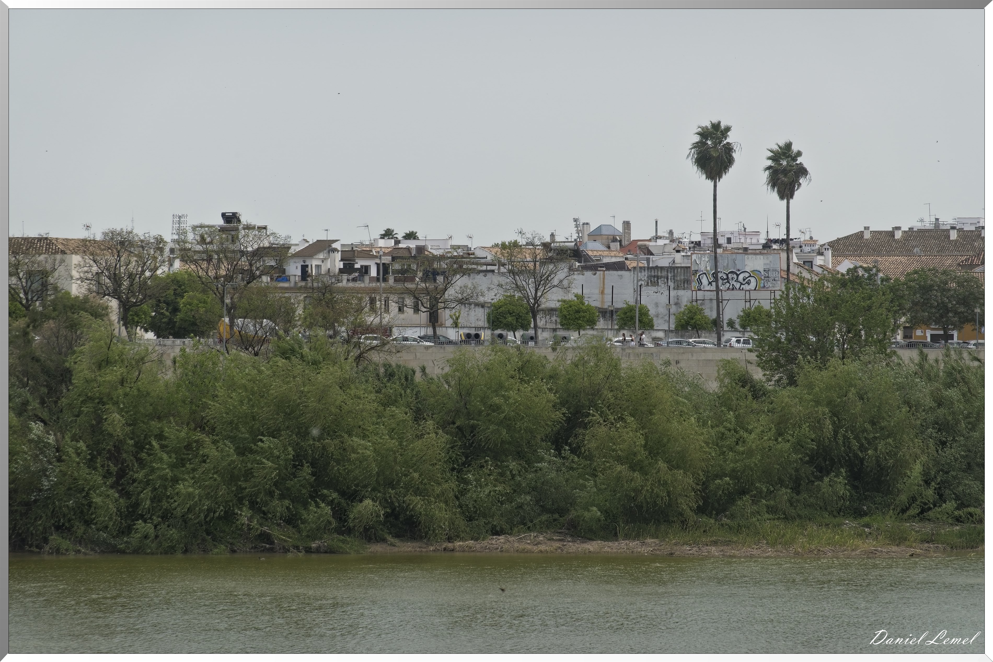  DSC3691W