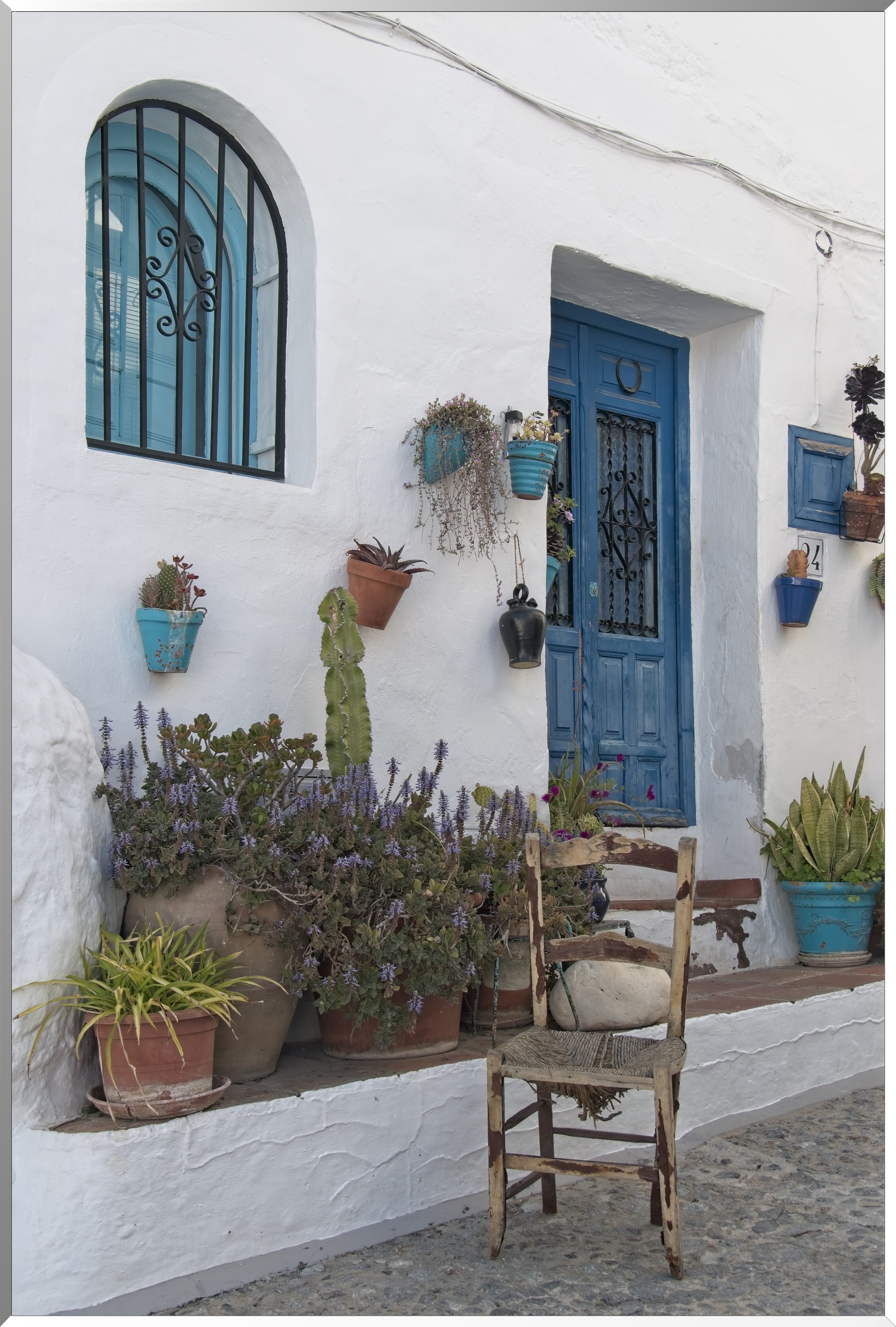  DSC4218W