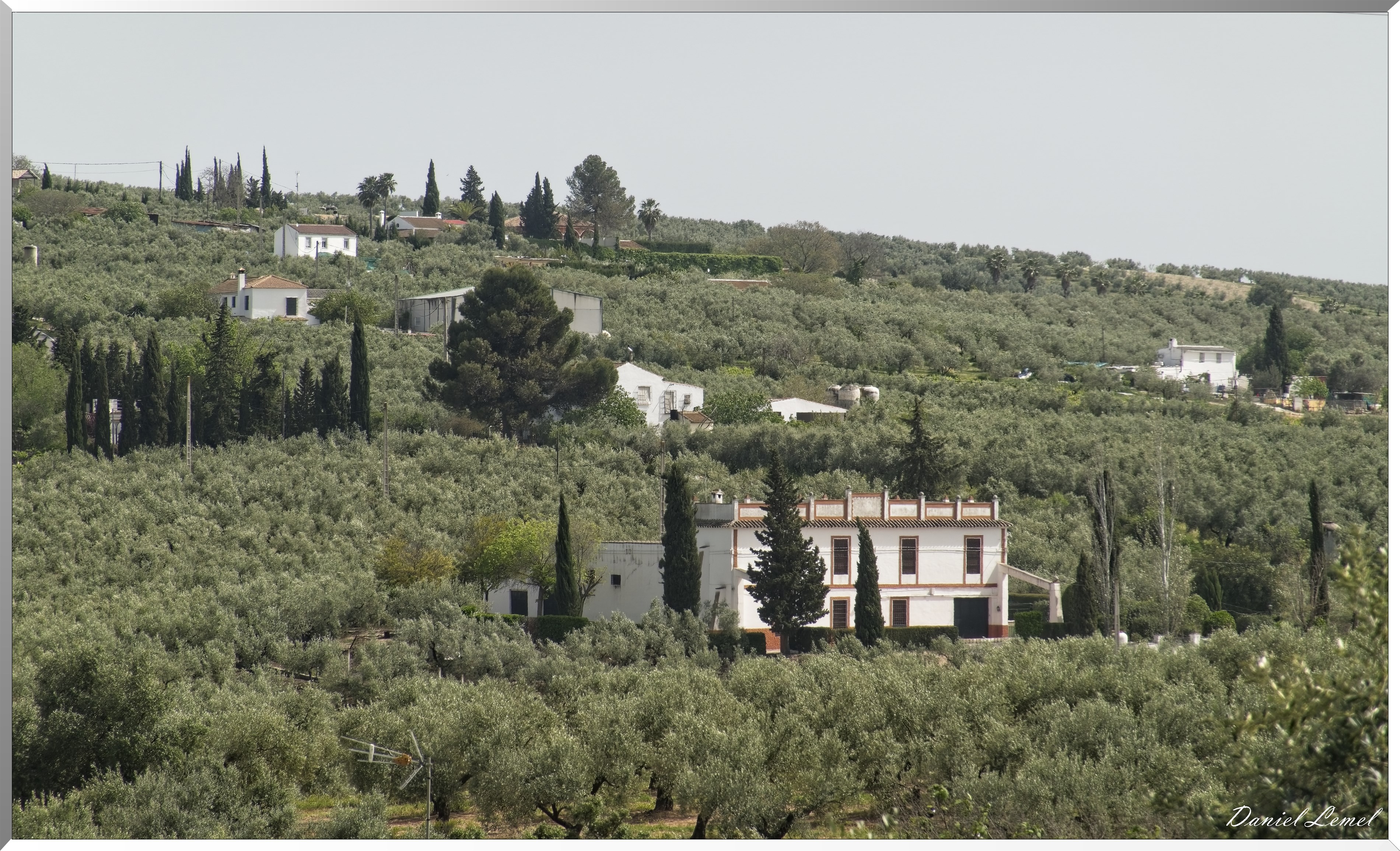 Musée et moulin à huile - Juan Colin