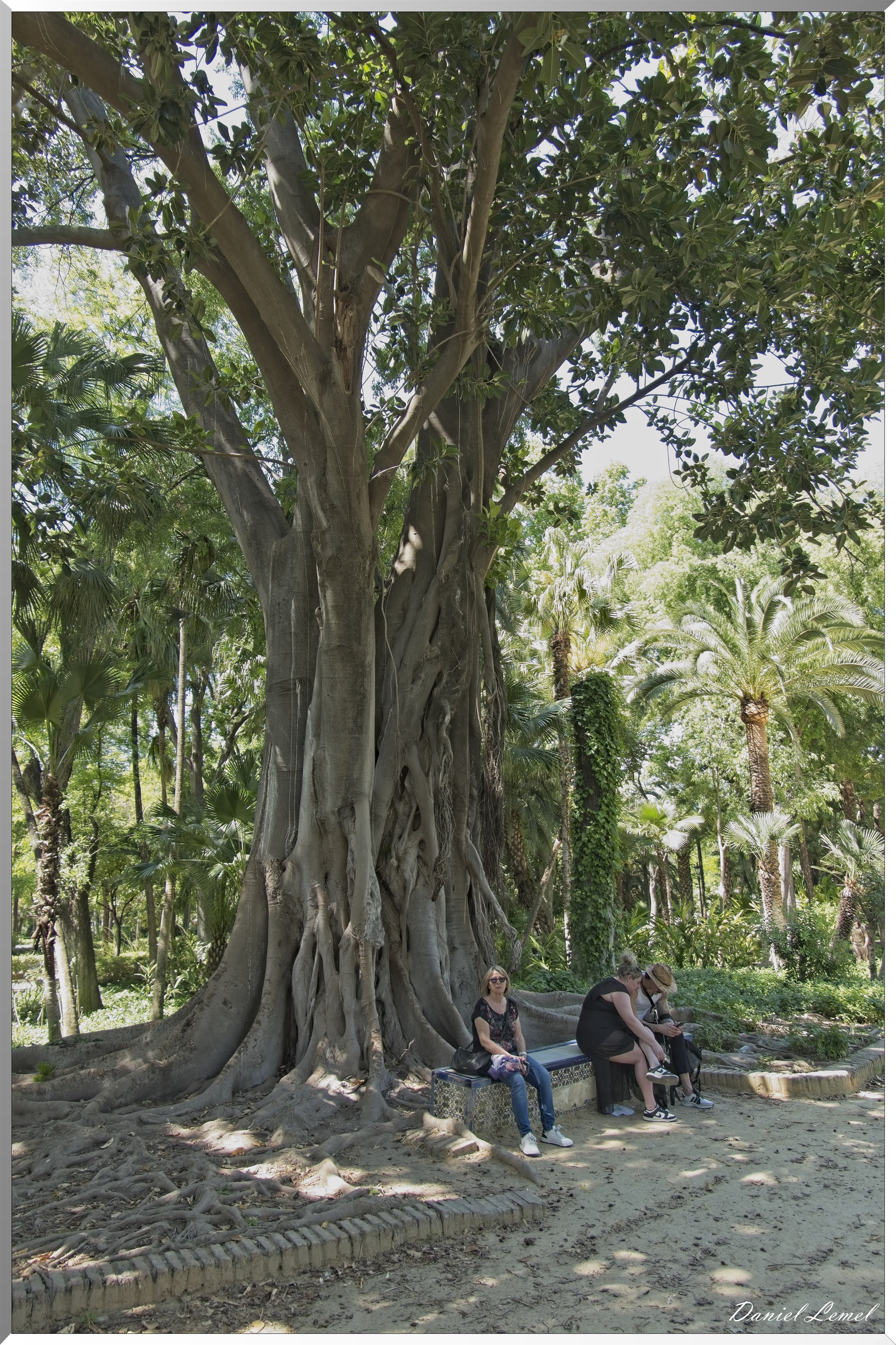 DSC3329W