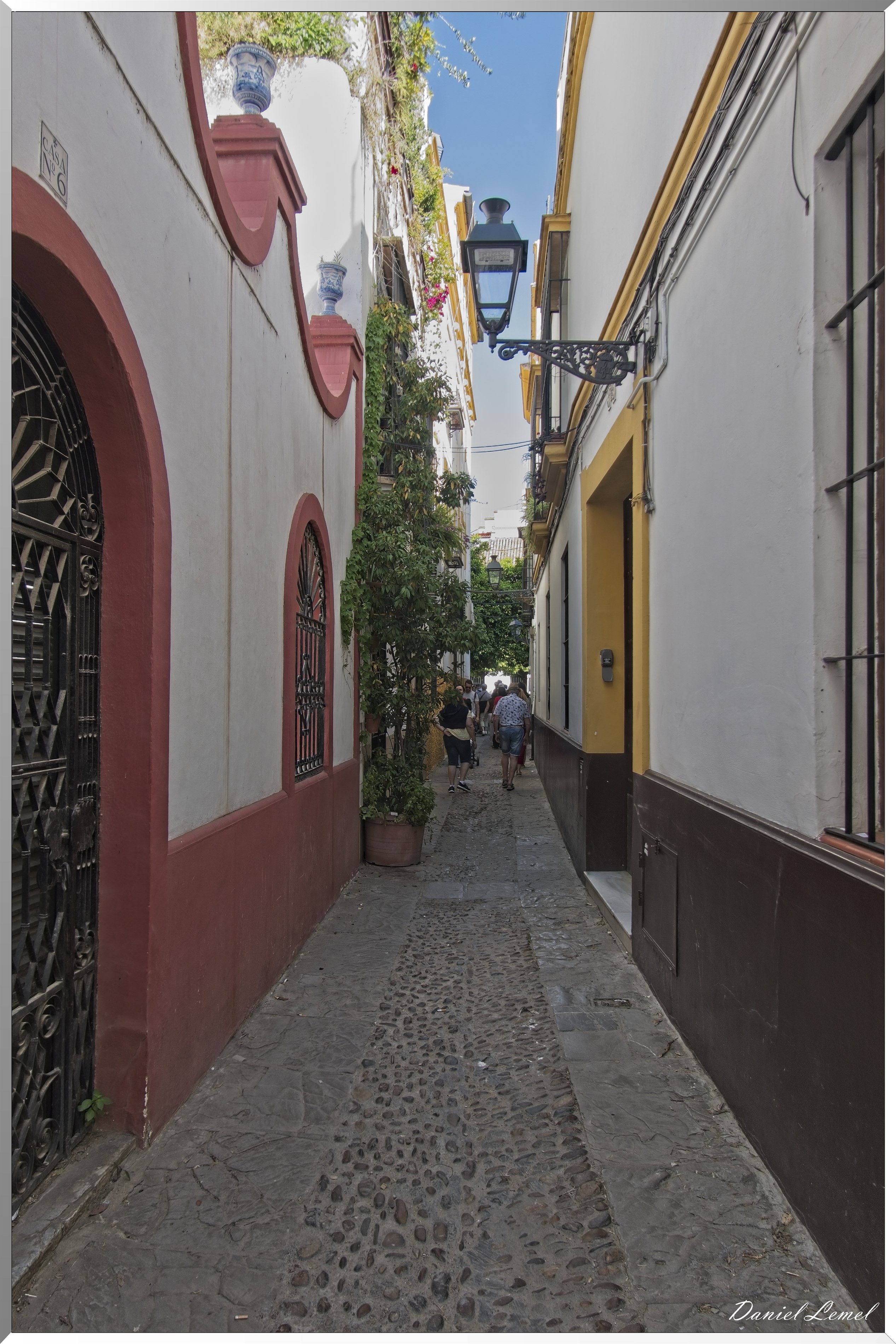  DSC3453W