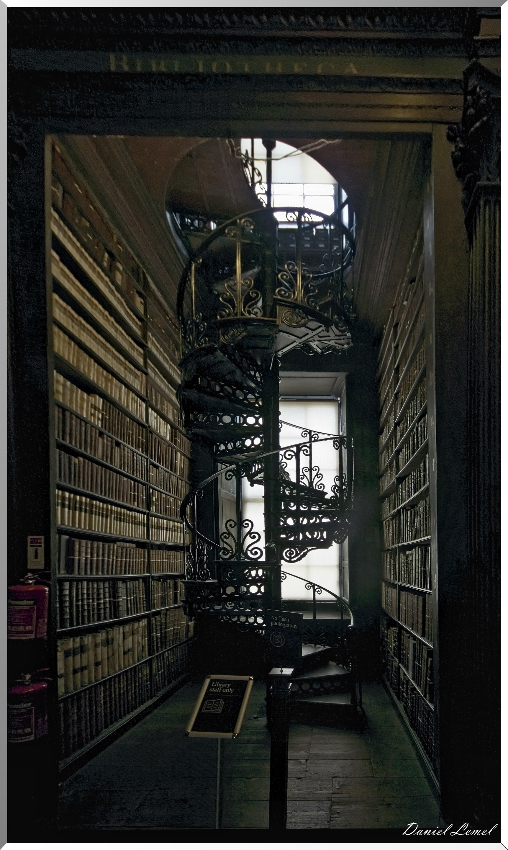 Dans les rayonnages de la bibliothèque