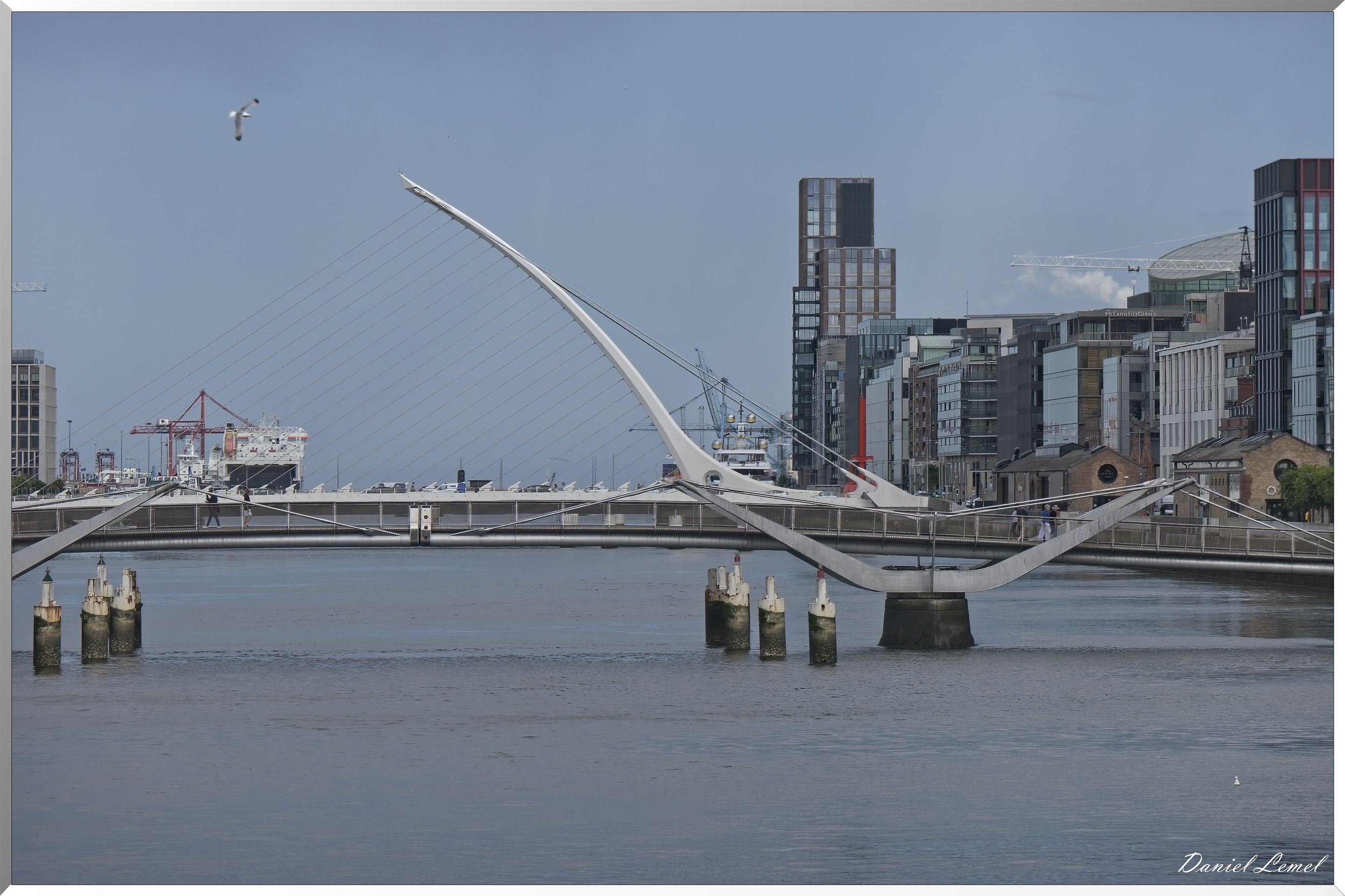 Samuel Beckett Bridge
