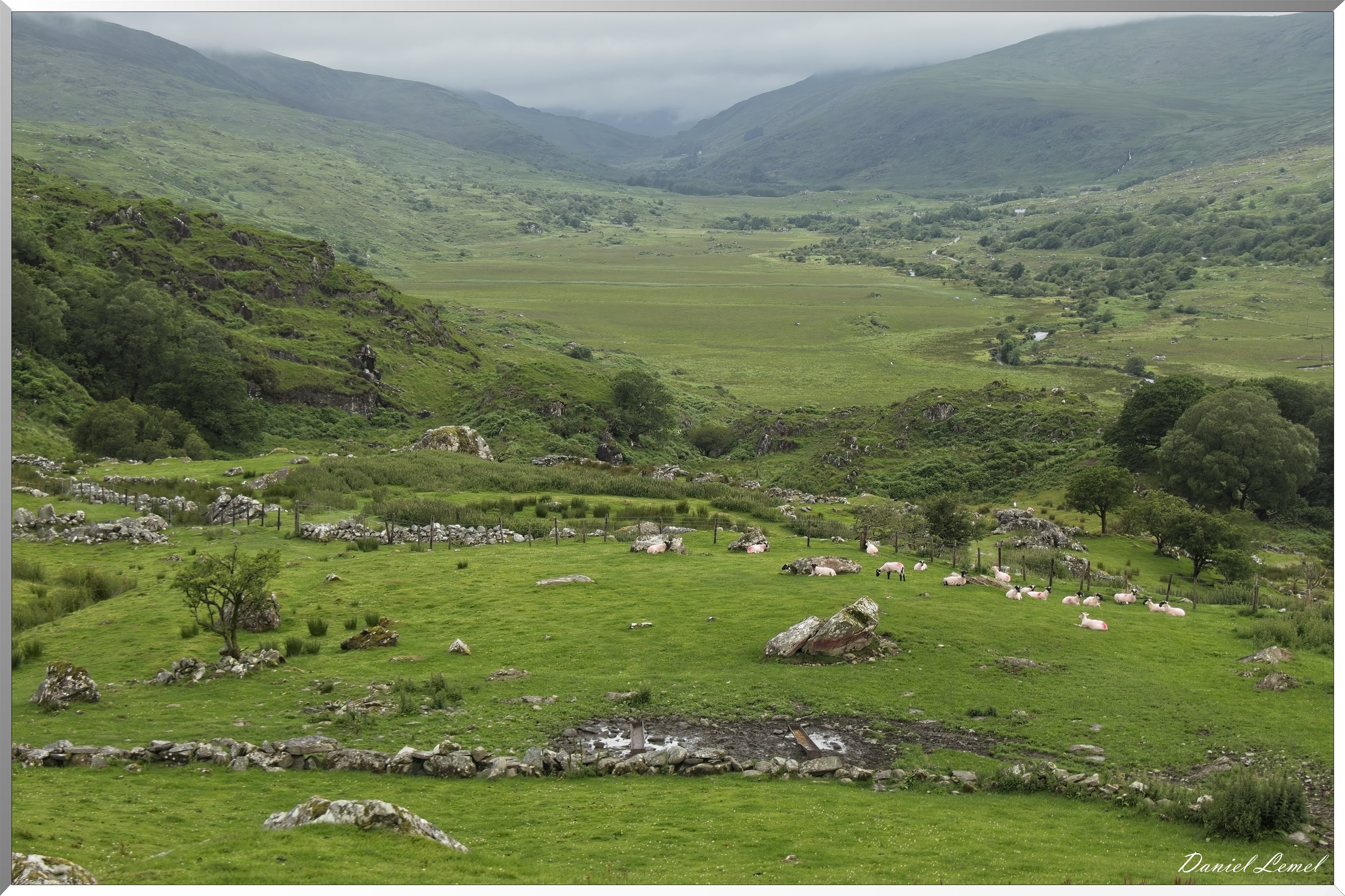 Kissane Sheep Farm