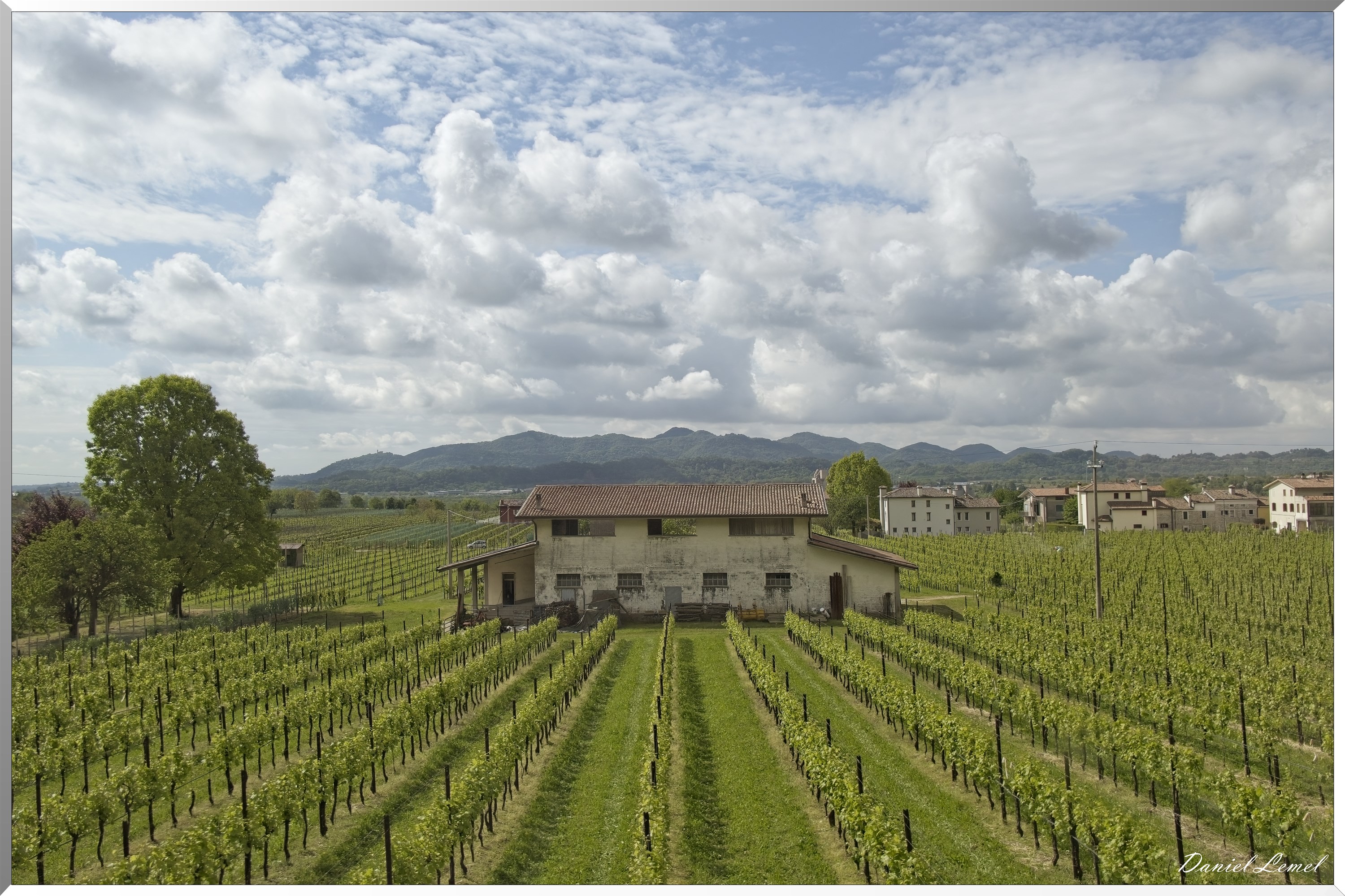 Valdobbiadene - Visite d'une cave de Prosecco
