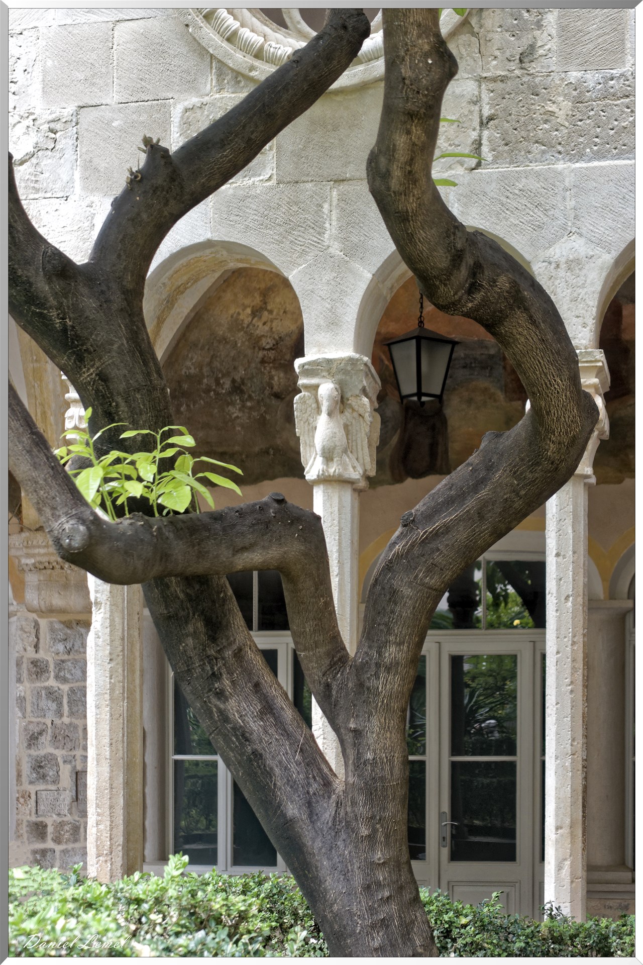 Monastère franciscain de frères mineurs - Cloitre