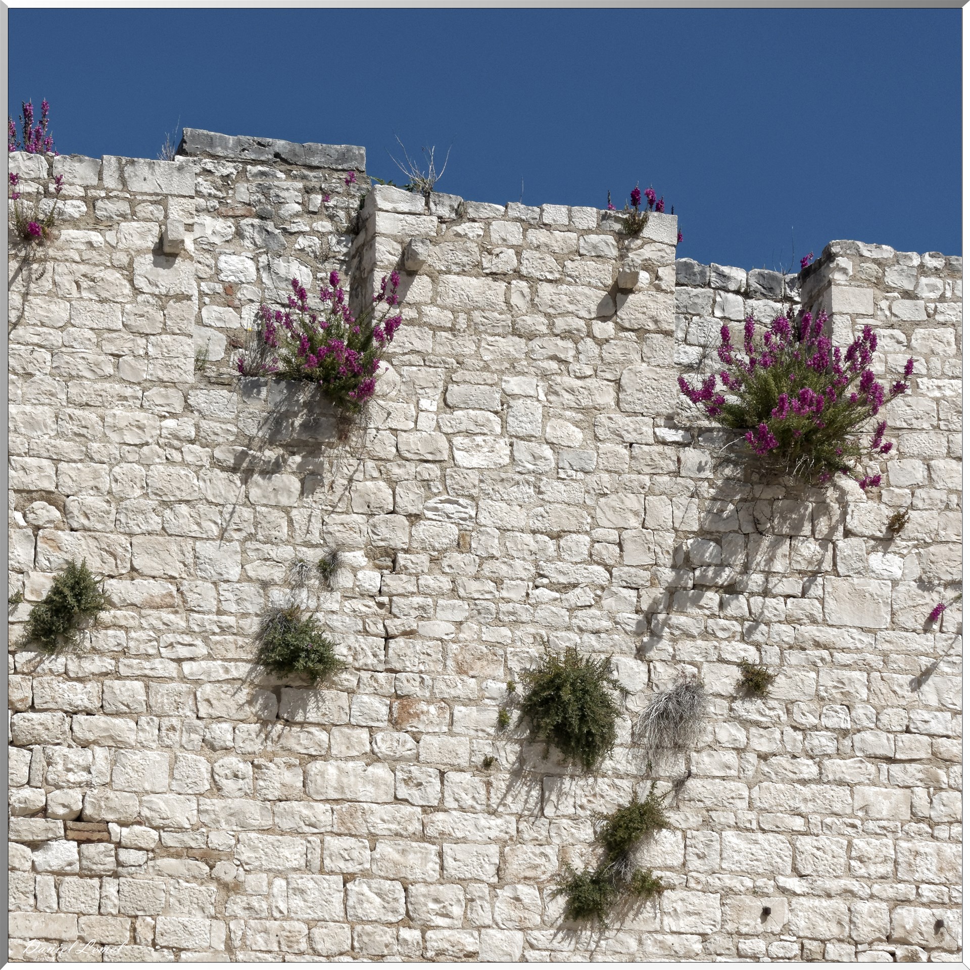 Mur d'enceinte