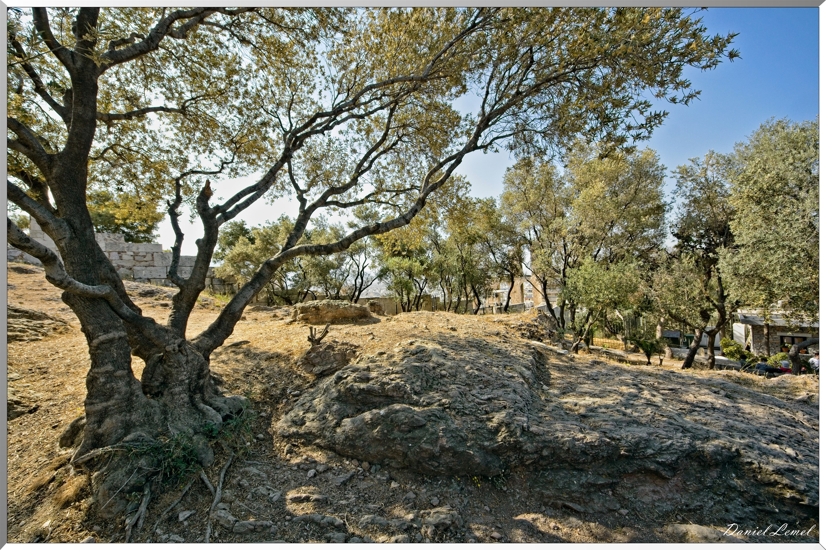 Acropole