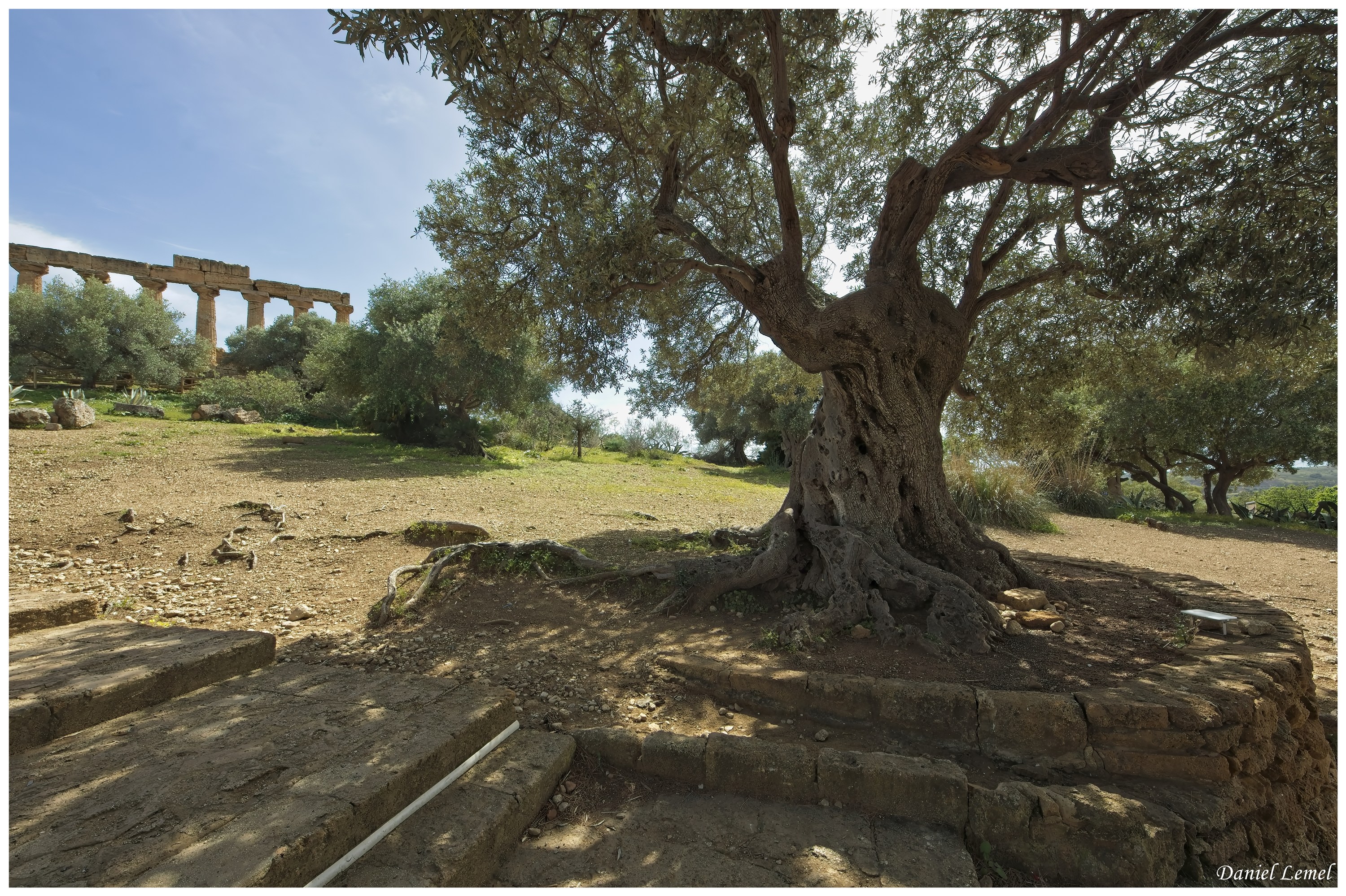Agrigente - Vallée des temples