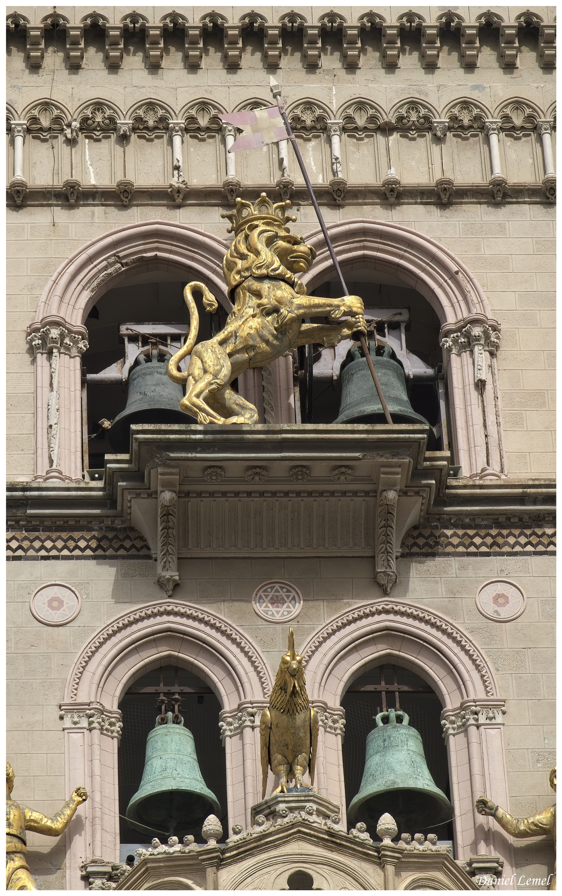 DSC2535W