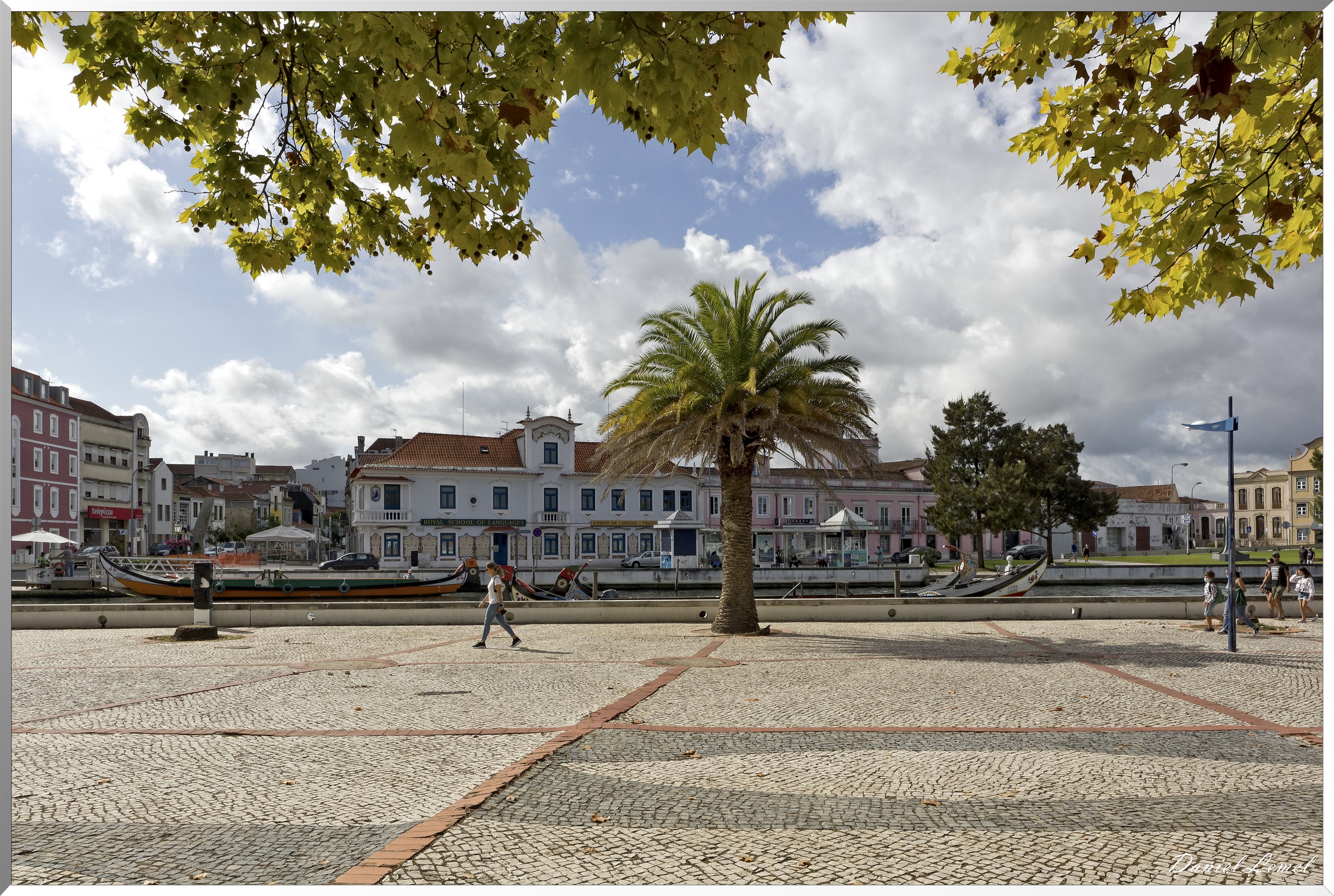  DSC0037 DxOW