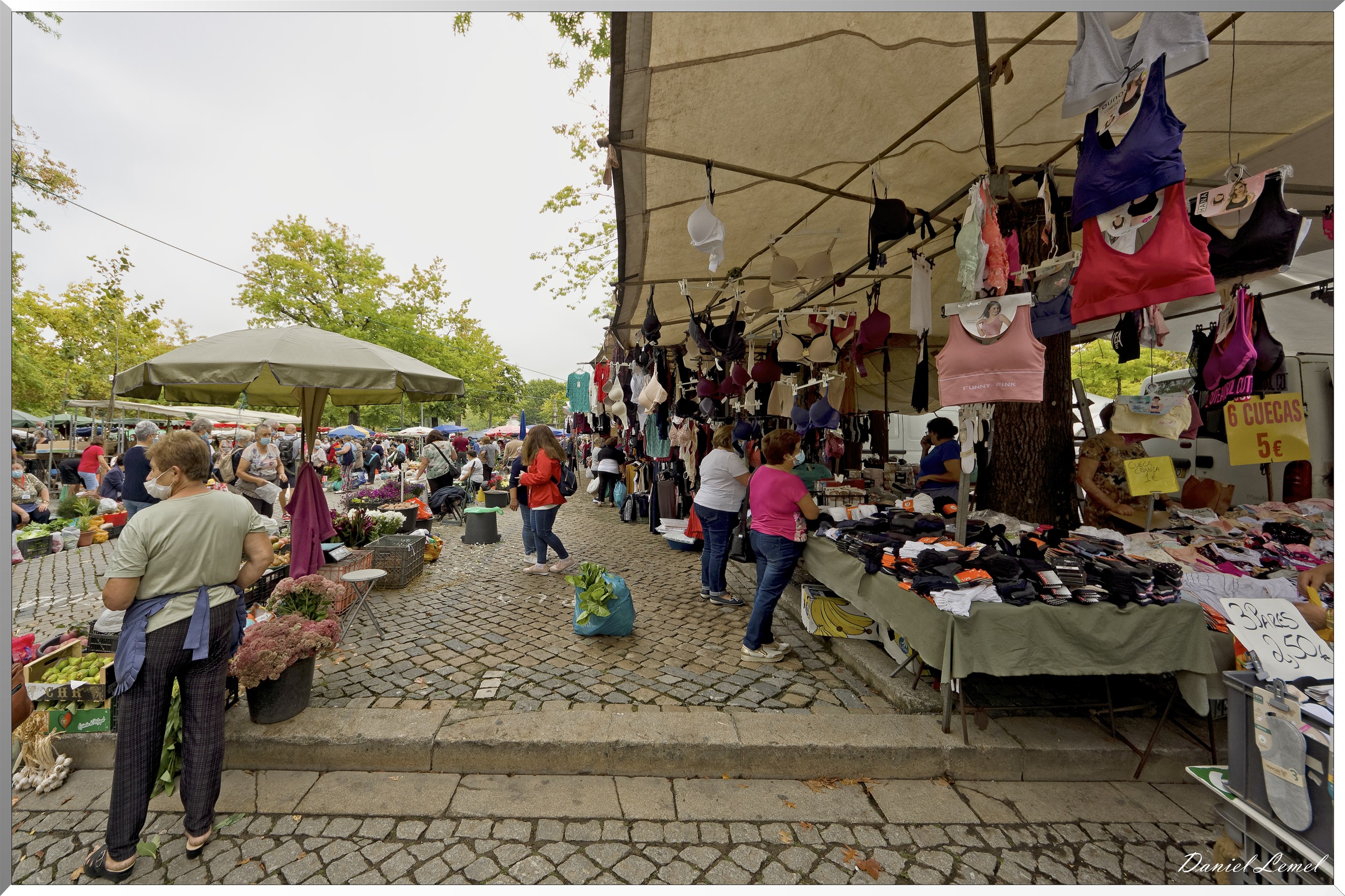  DSC0027 DxO1W