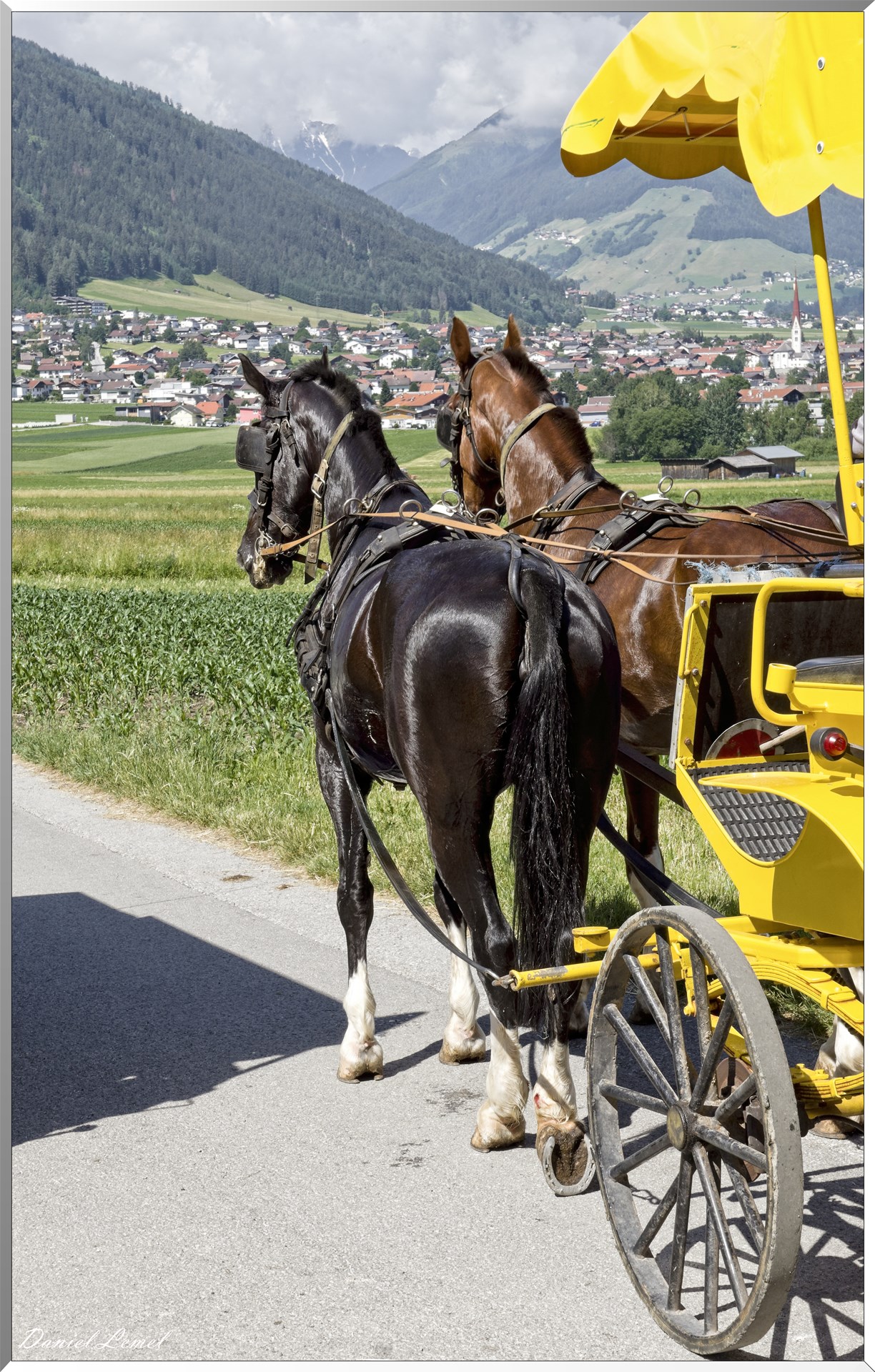 Promenade en calèche