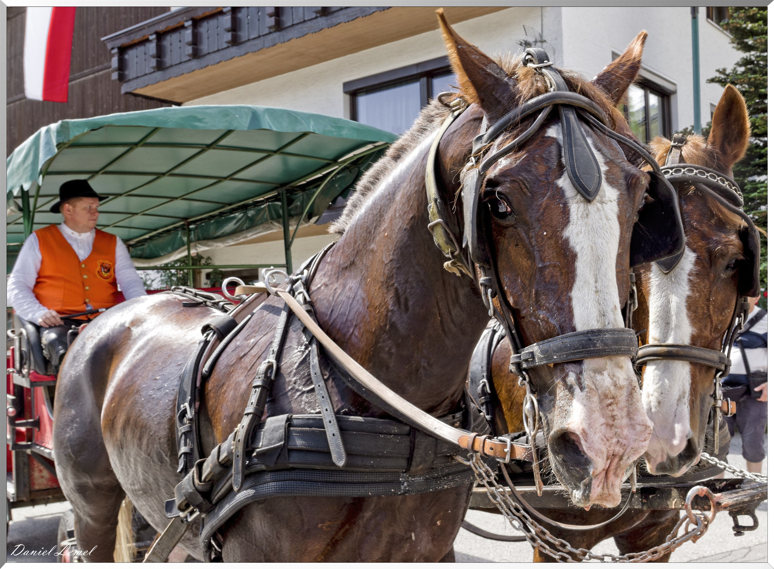 Promenade en calèche