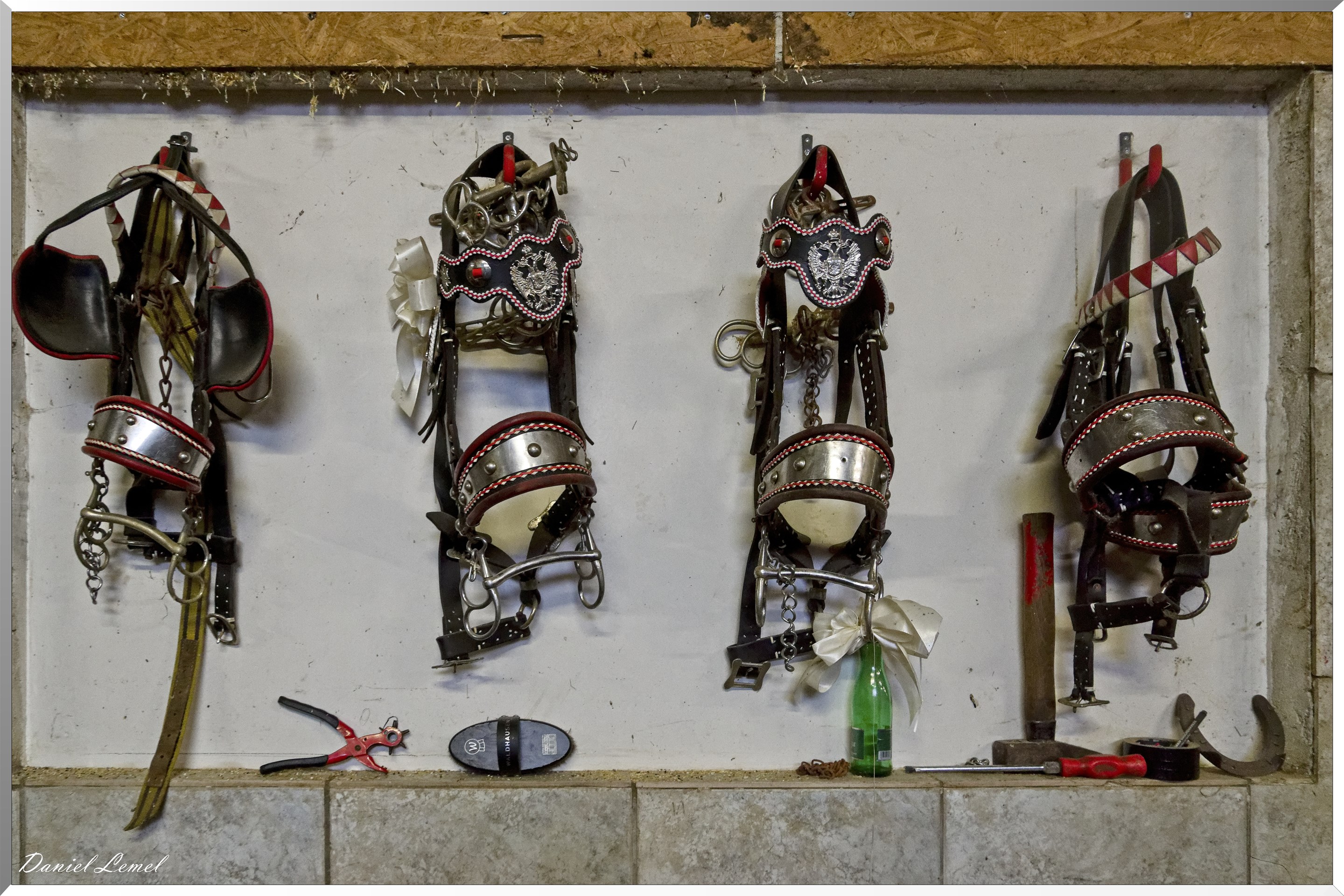 La ferme équestre Postkutscherhof