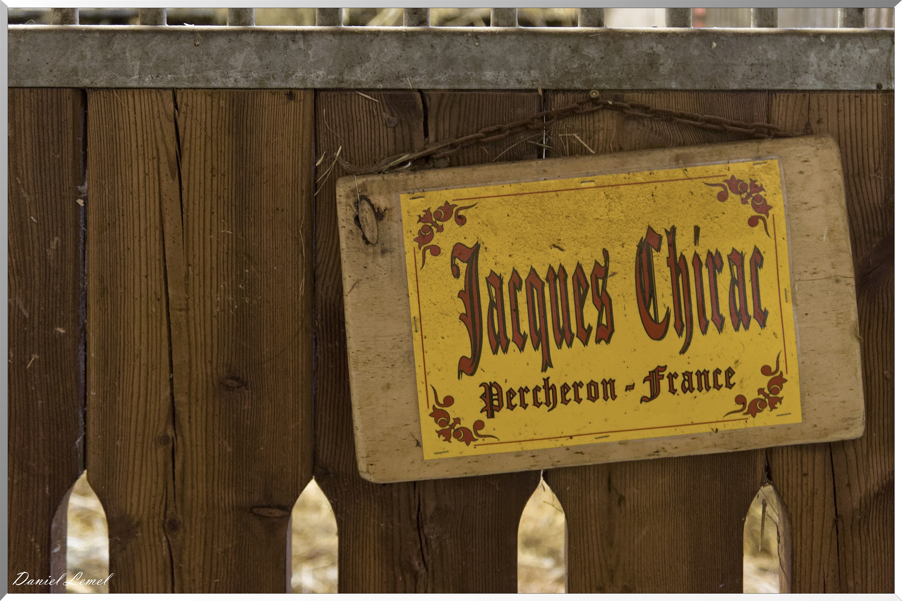 Jacques Chirac - Le cheval