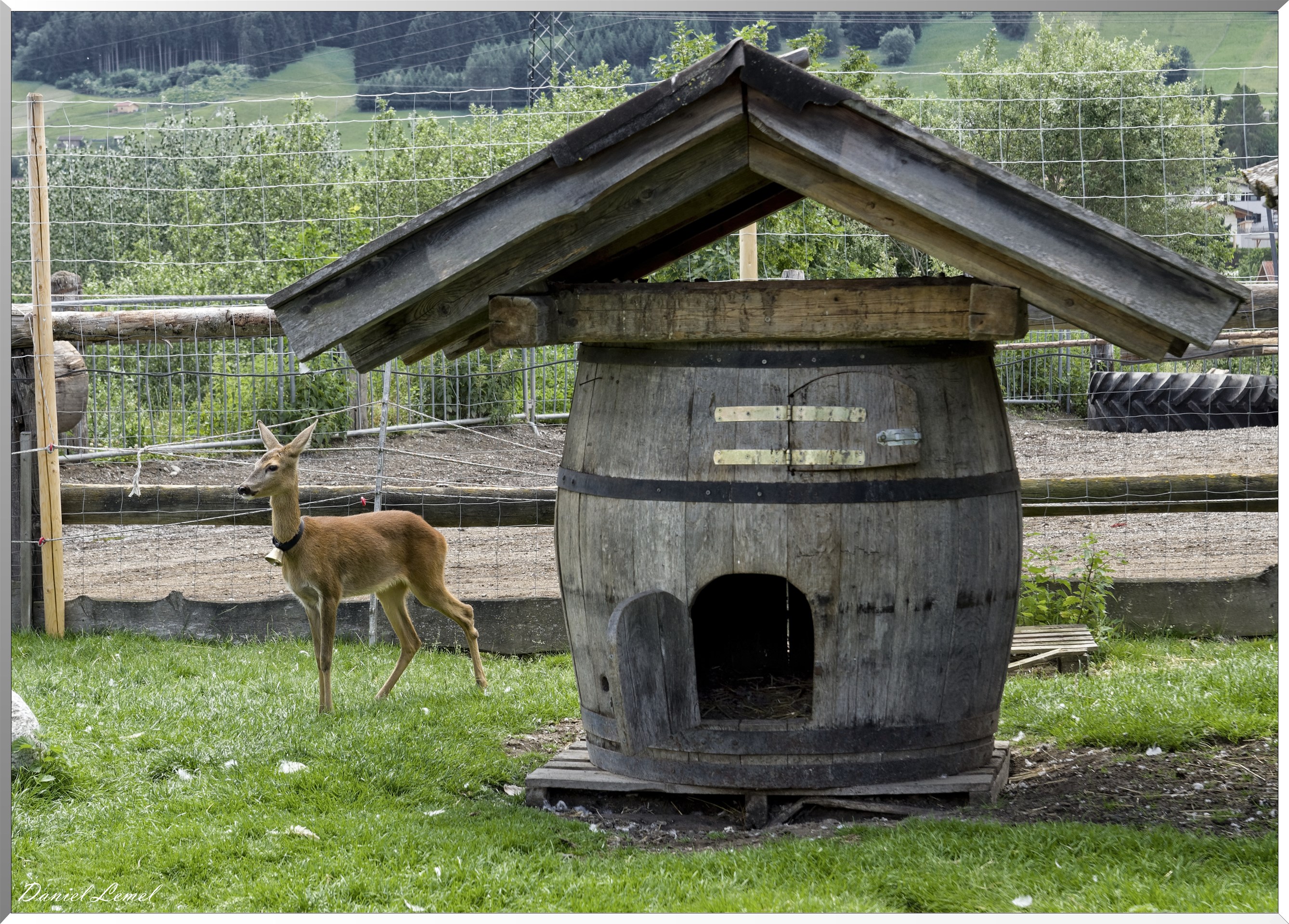 La ferme équestre Postkutscherhof