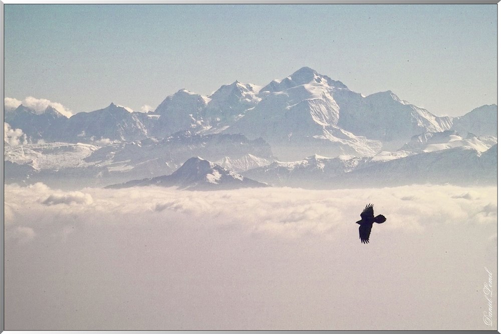 Mont-Blanc-vue-du-Mont-Rondw