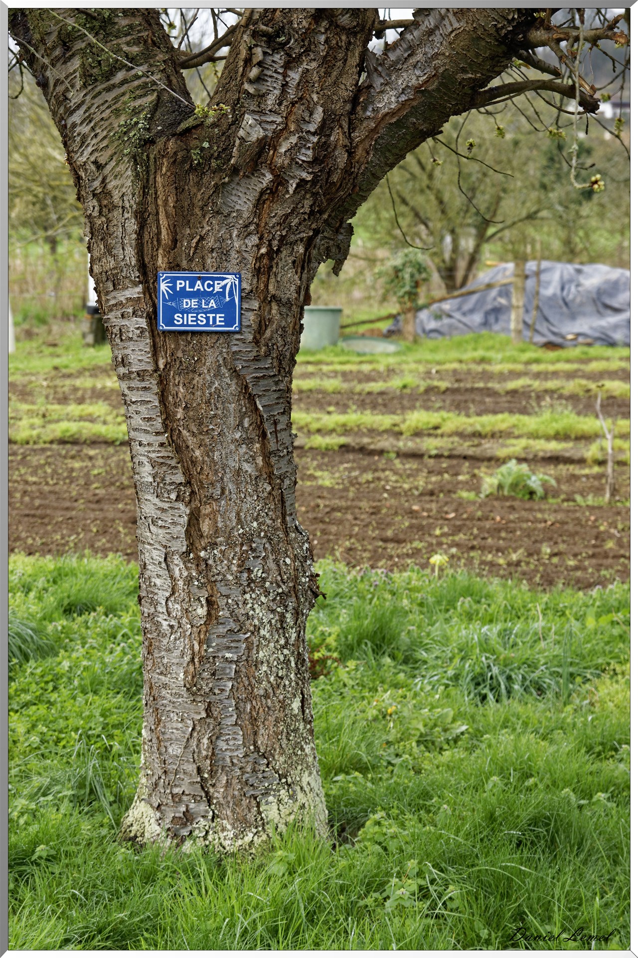 Saint-Pierre-d'Autils