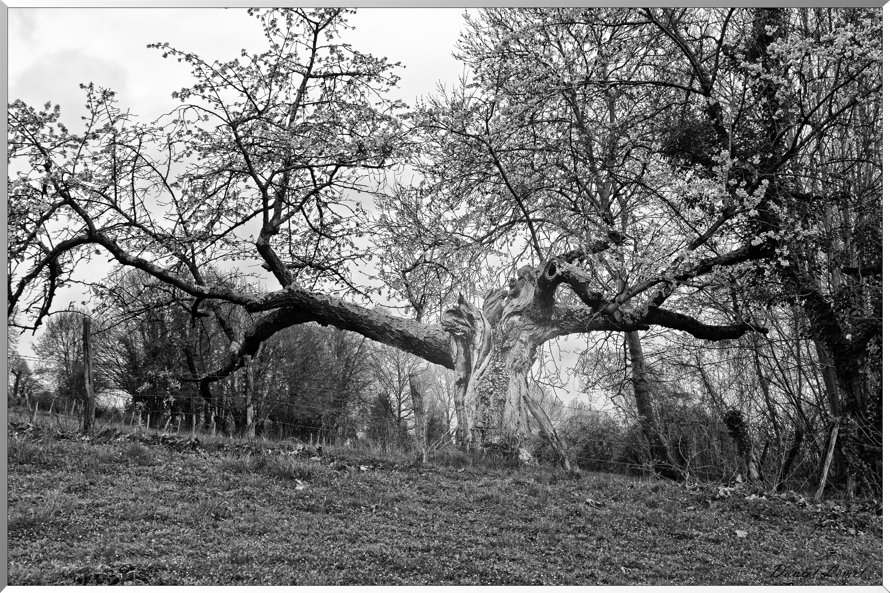 Saint-Pierre-d'Autils