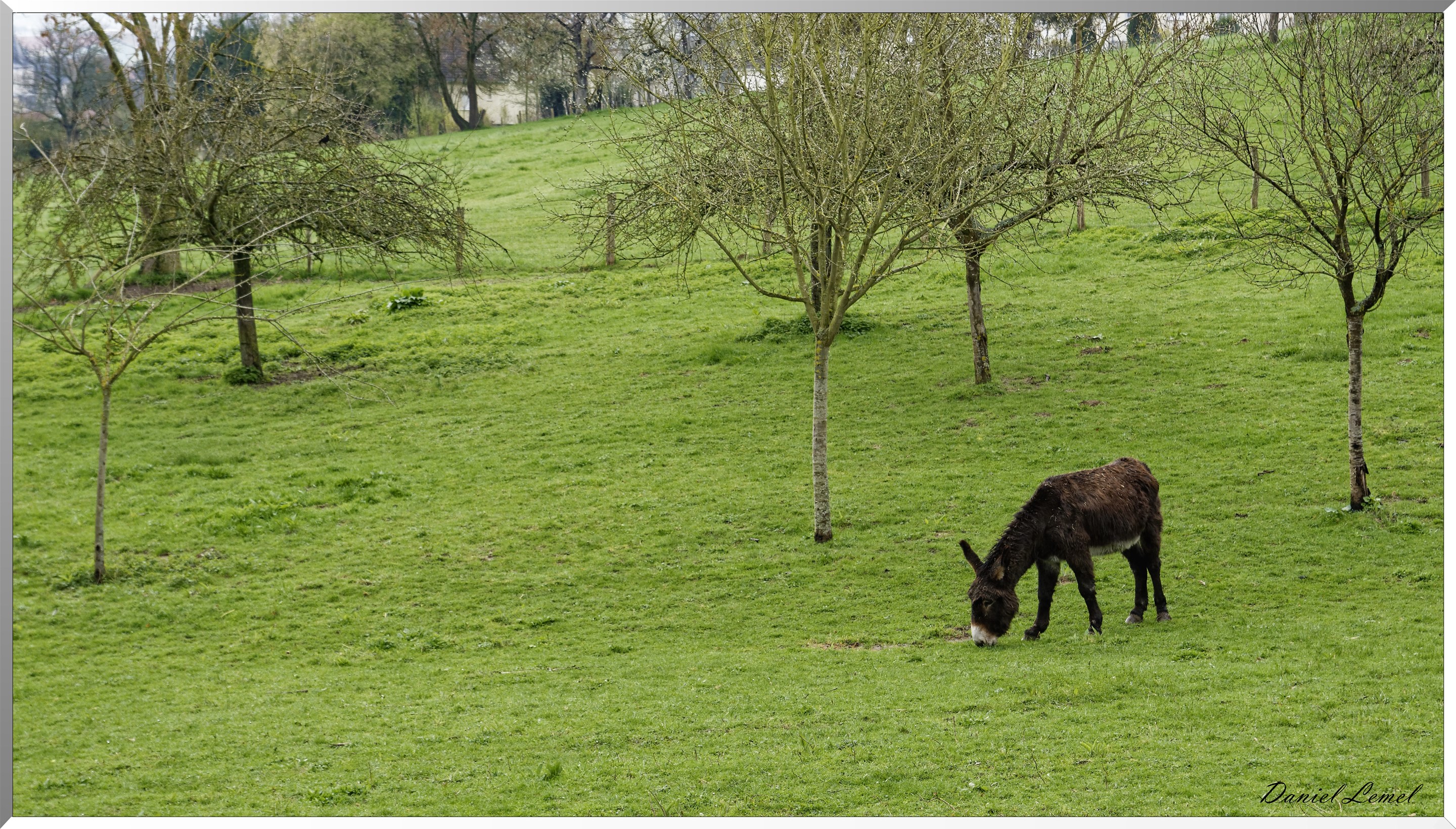 Saint-Pierre-d'Autils