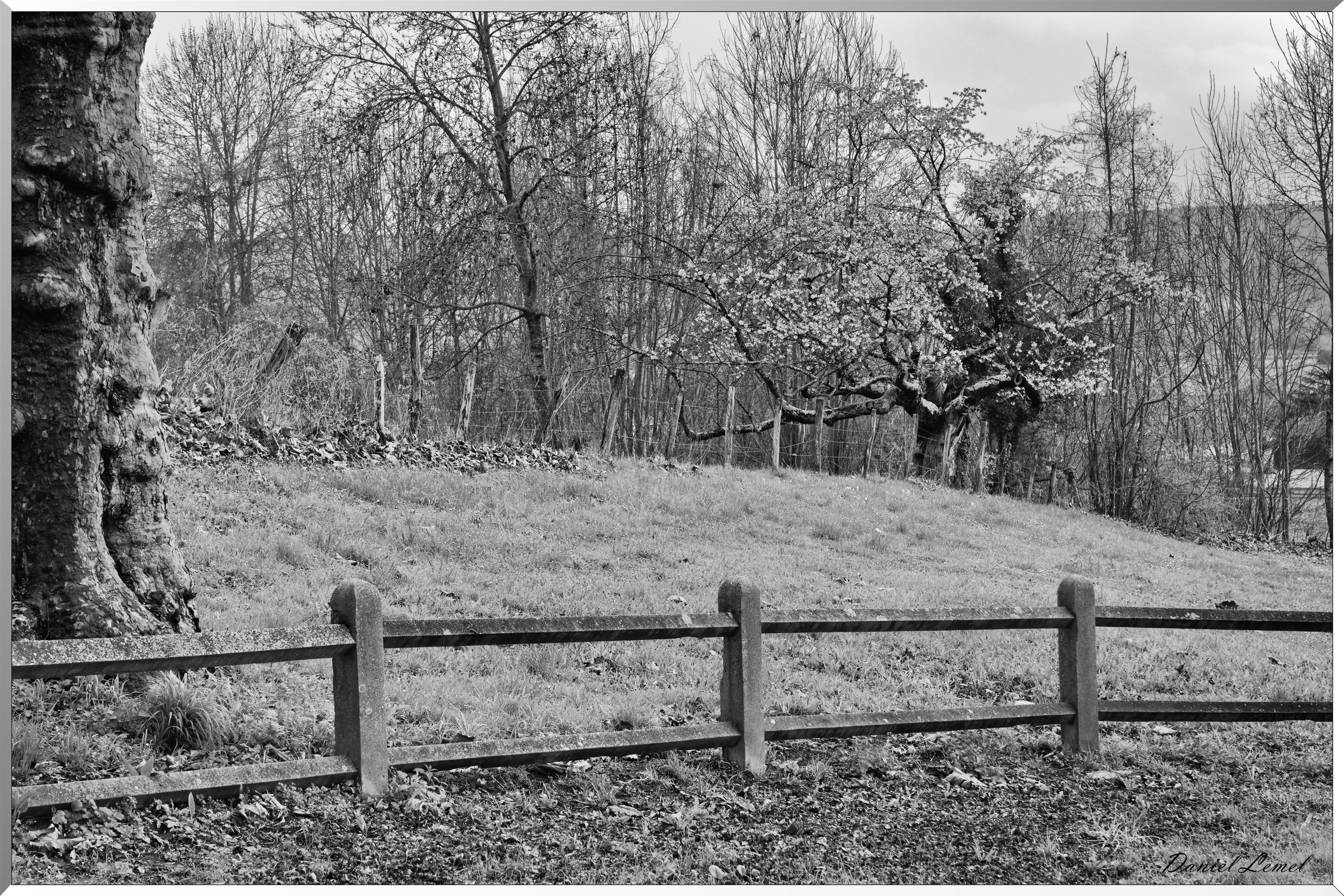 Saint-Pierre-d'Autils