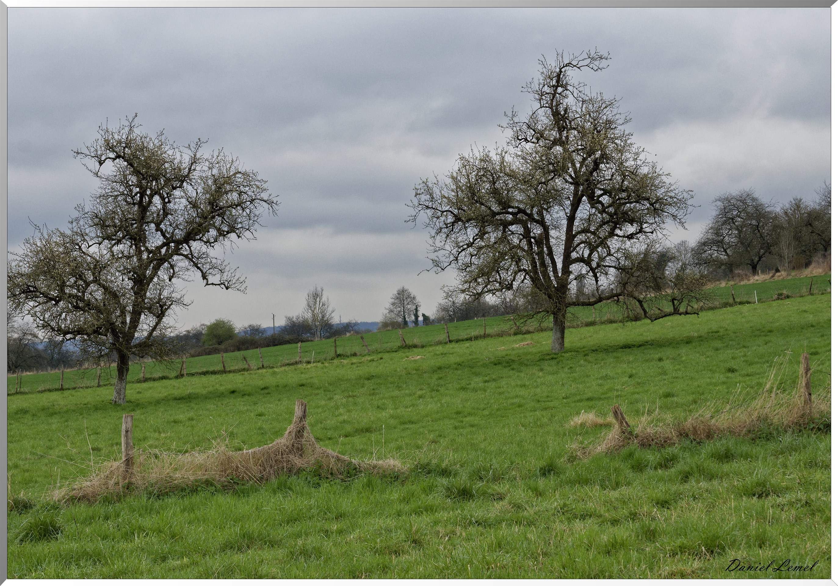 Saint-Pierre-d'Autils