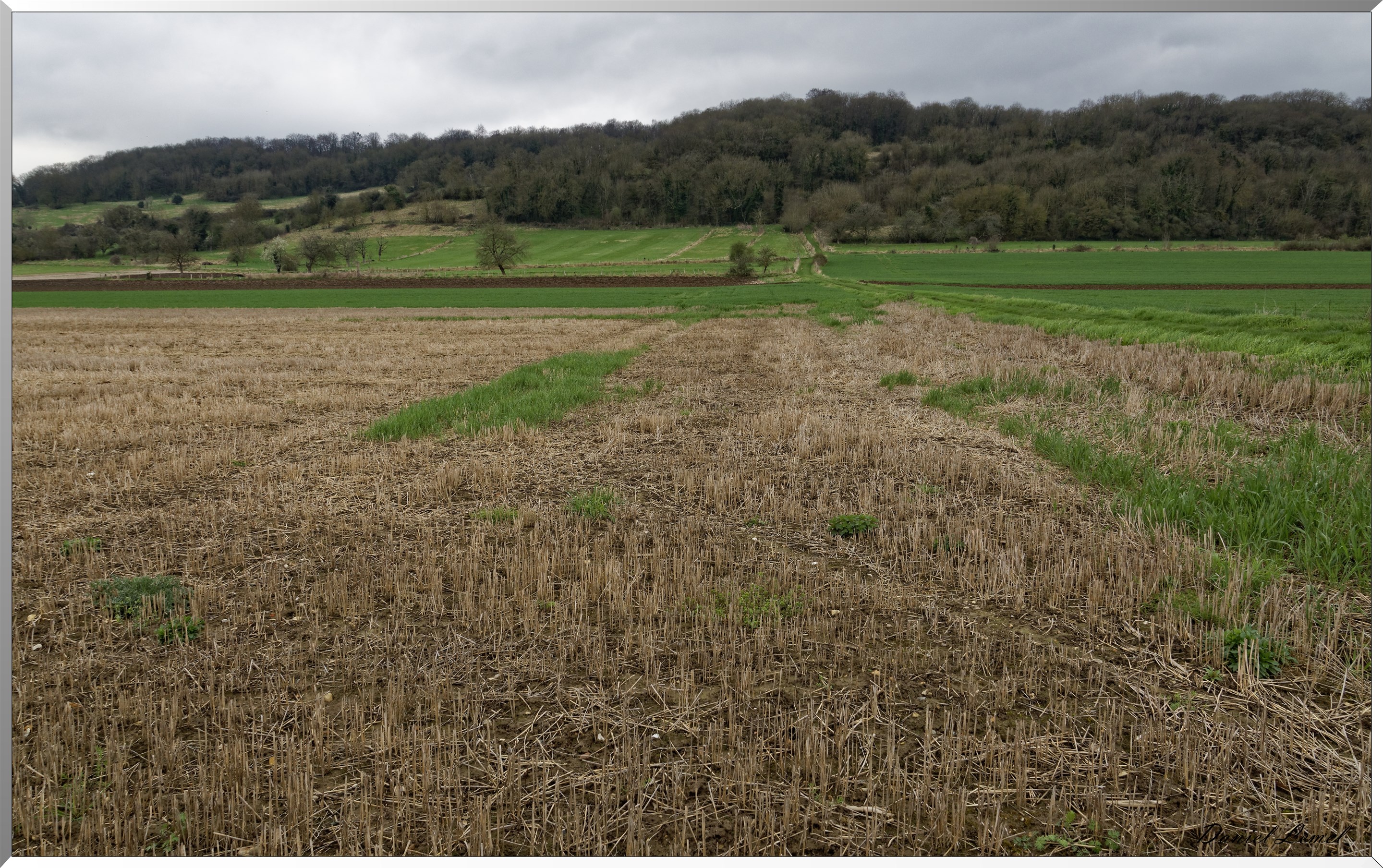 Saint-Pierre-d'Autils