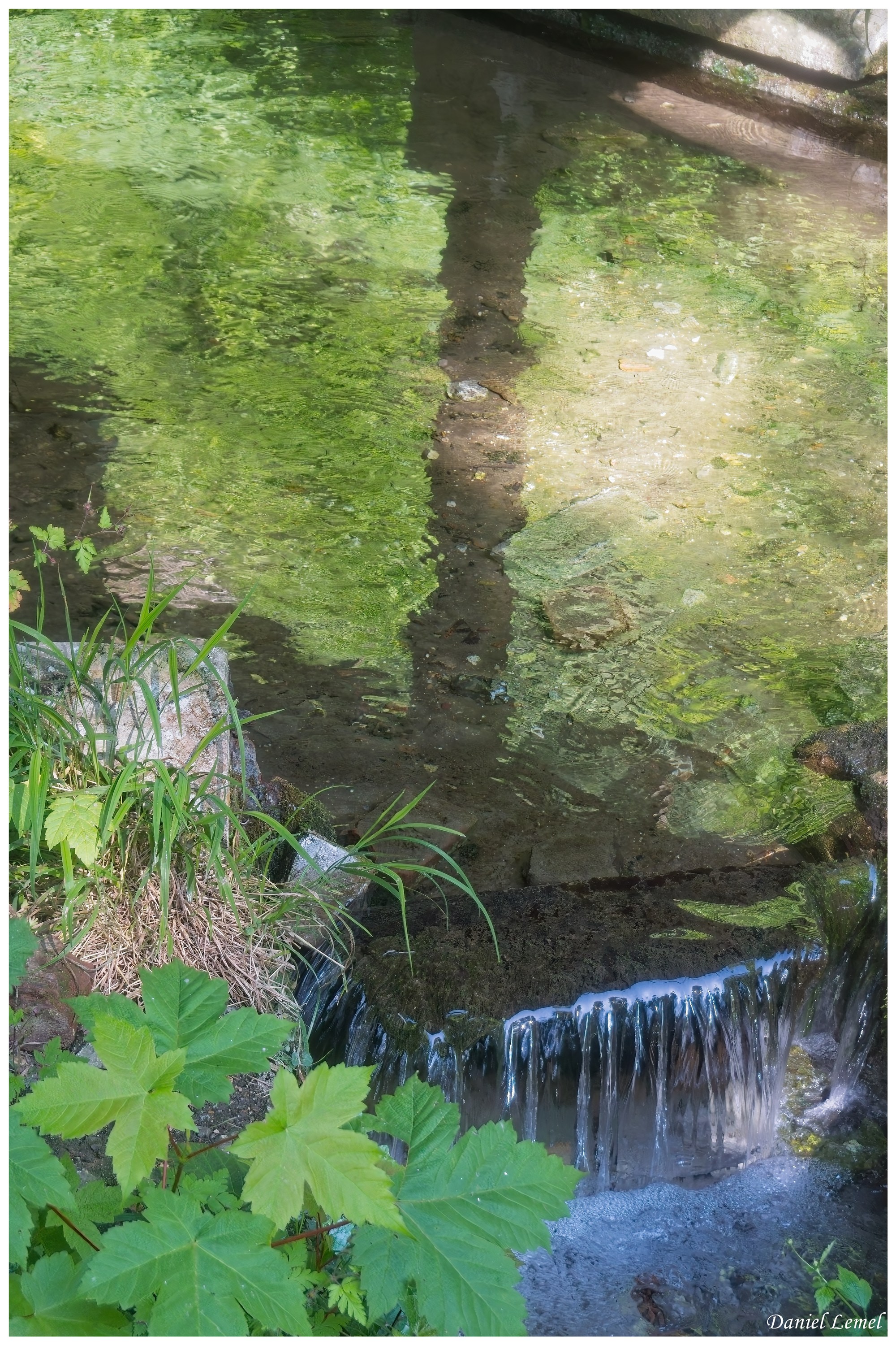  DSC3571W