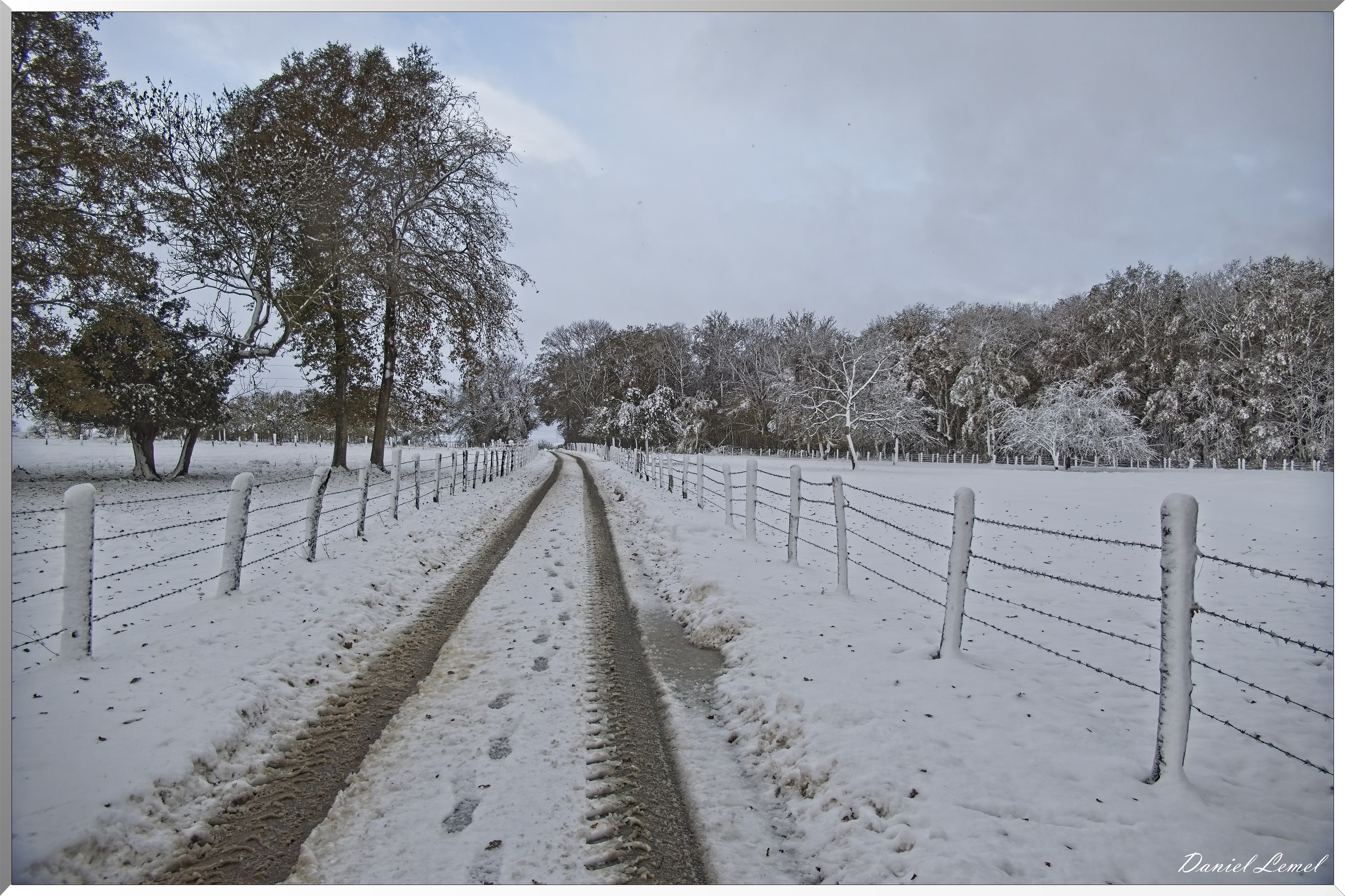 Dormont-Bois-de-Brillehaut