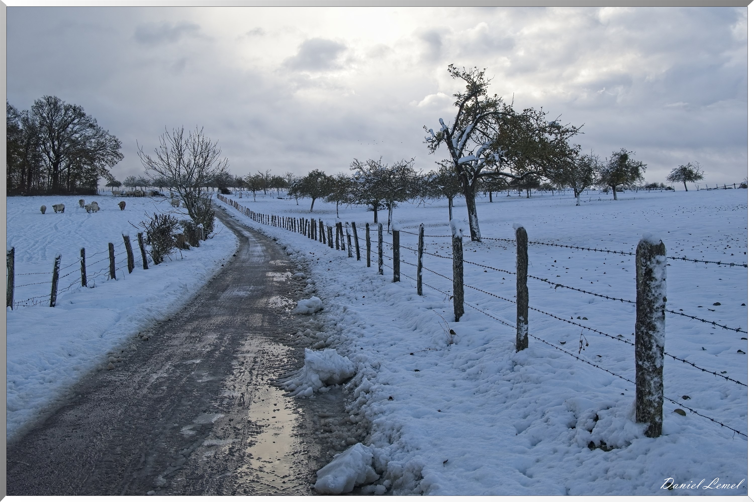 Dormont-Bois-de-Brillehaut