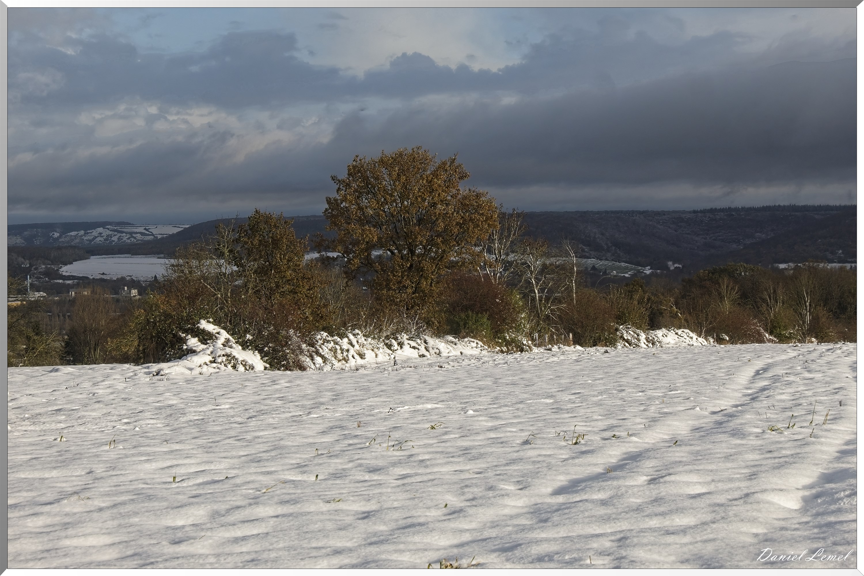 Dormont-Bois-de-Brillehaut