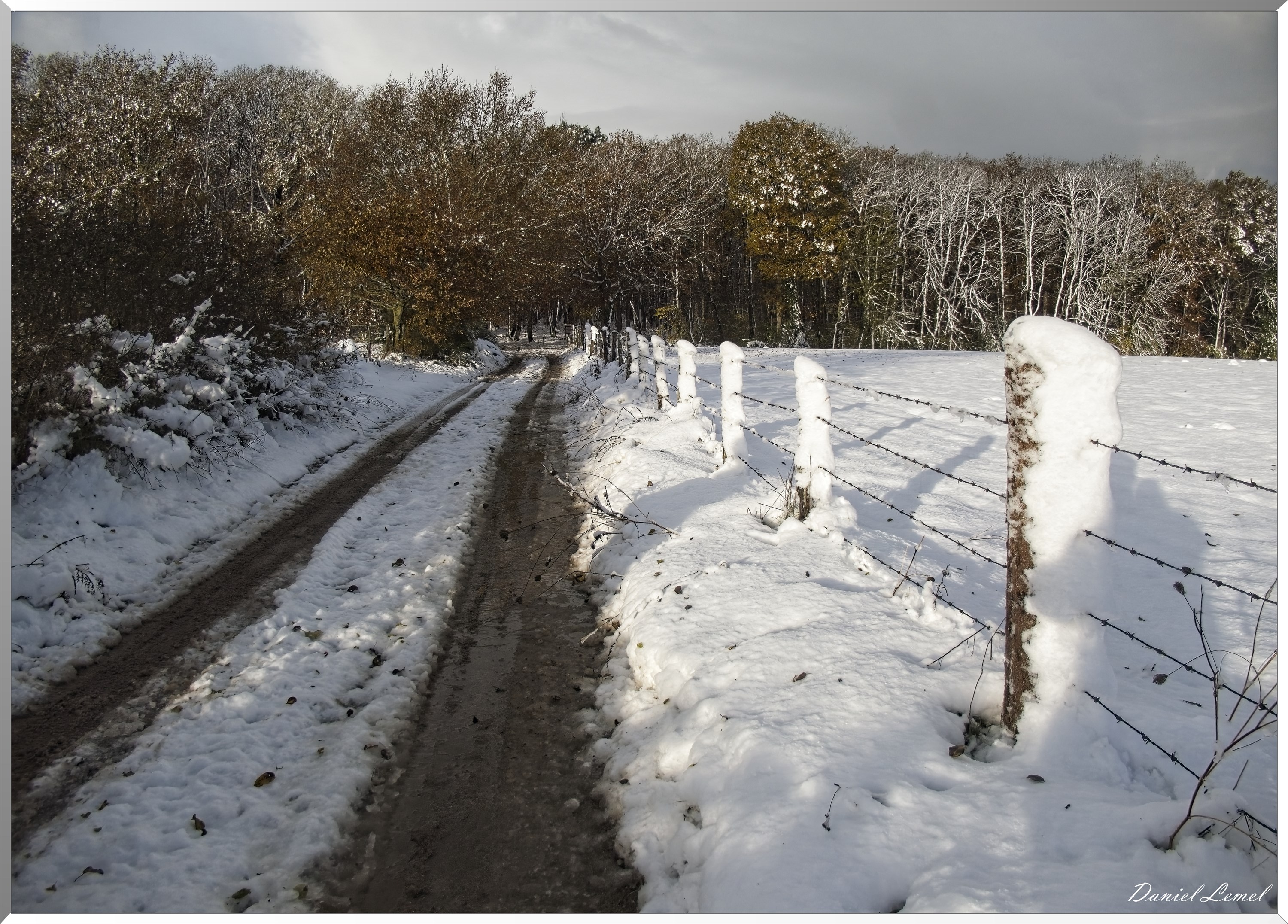 Dormont-Bois-de-Brillehaut