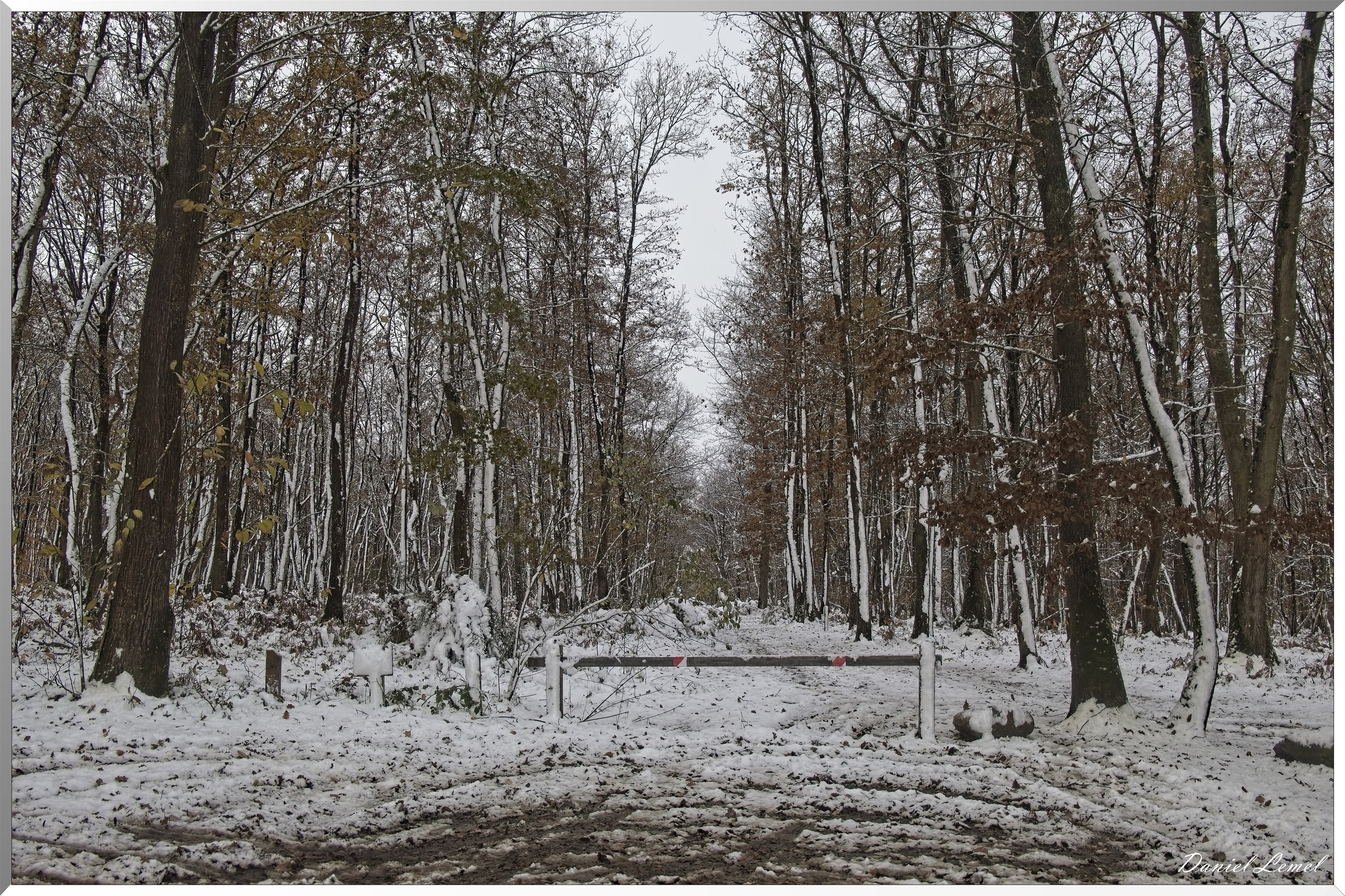 Dormont-Bois-de-Brillehaut