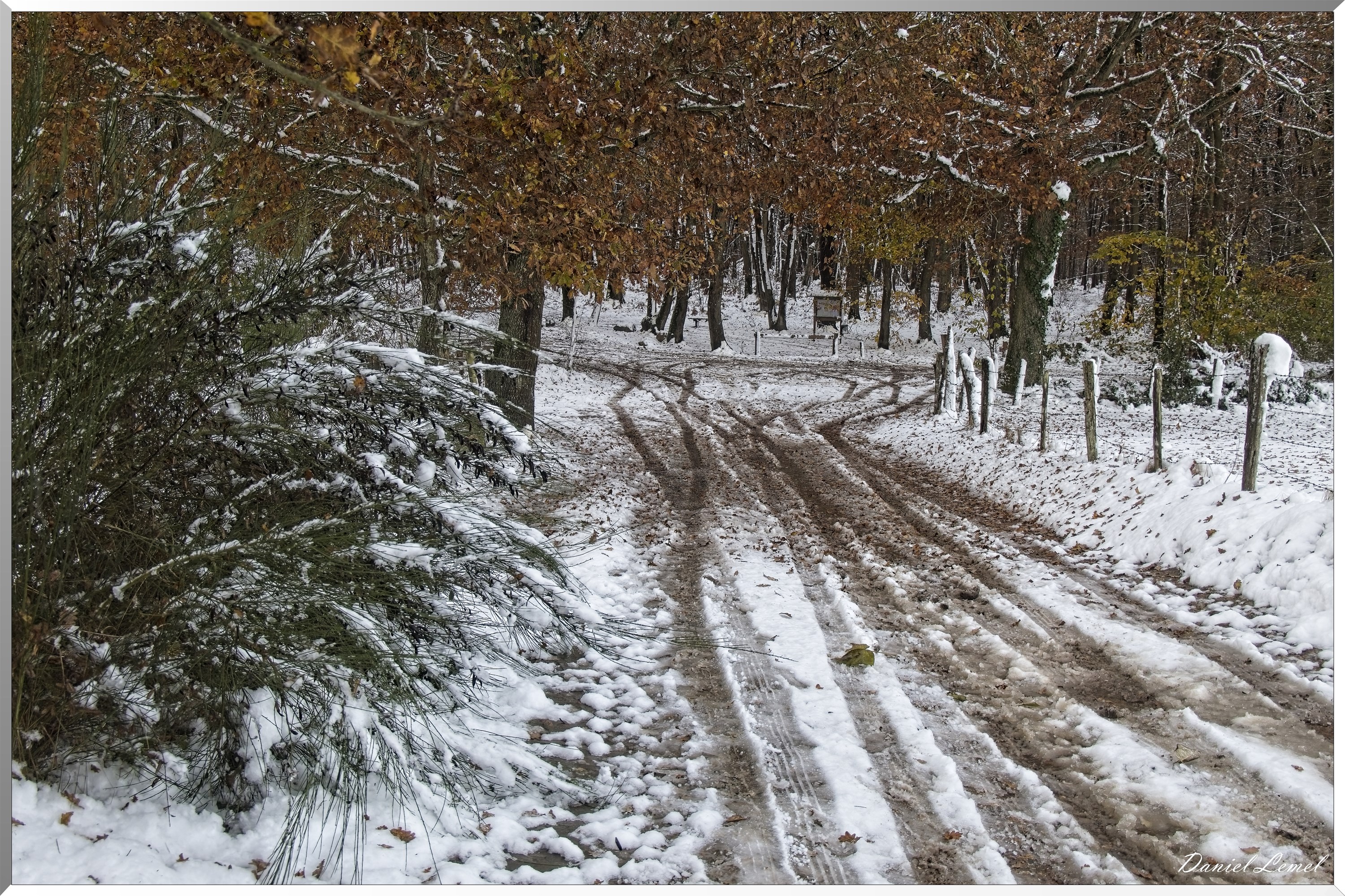 Dormont-Bois-de-Brillehaut